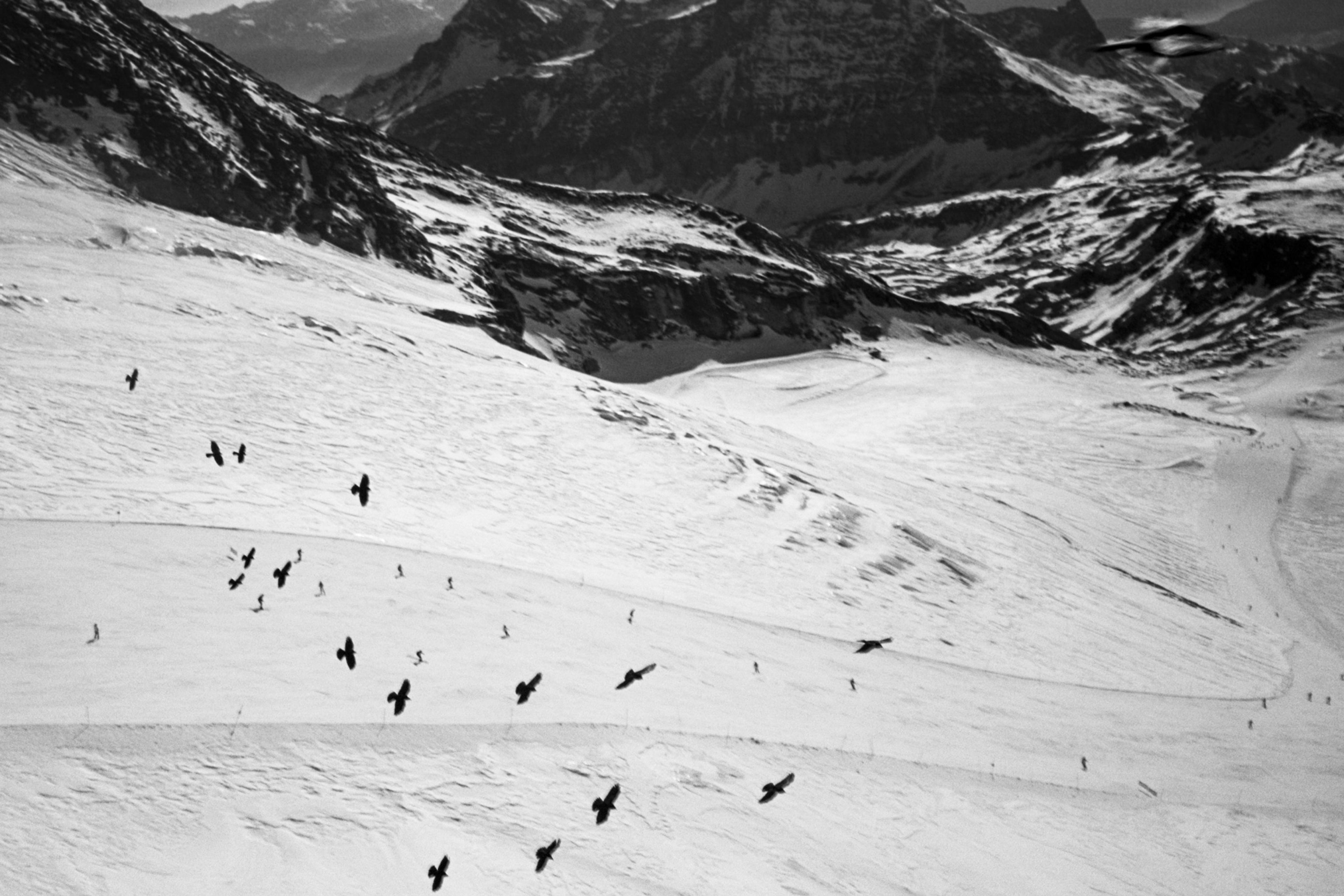 202302-n366fr12-andriimur-plateurossa-italy_b&w_web.jpg