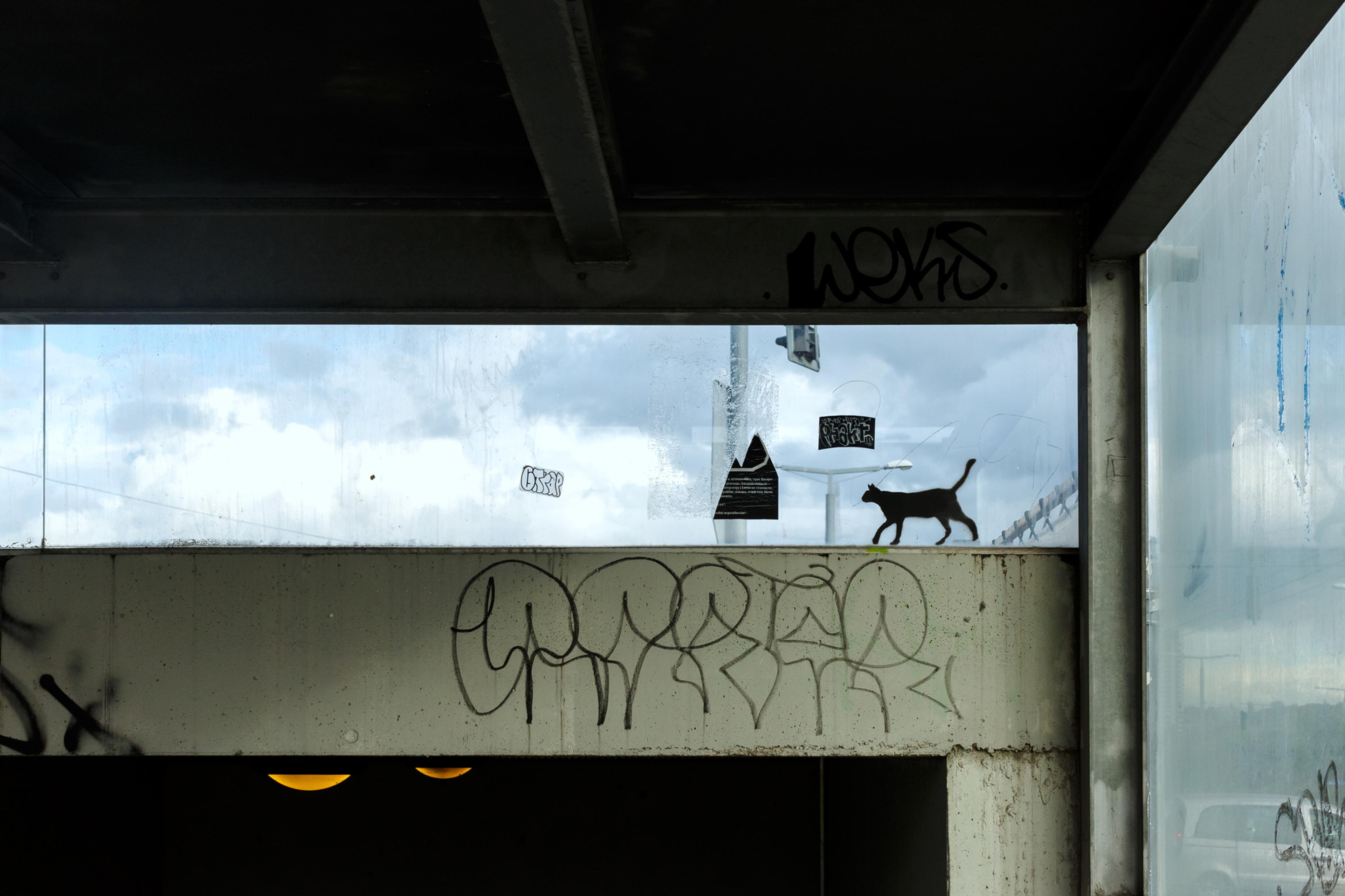 Cover image from Imaginary Friend