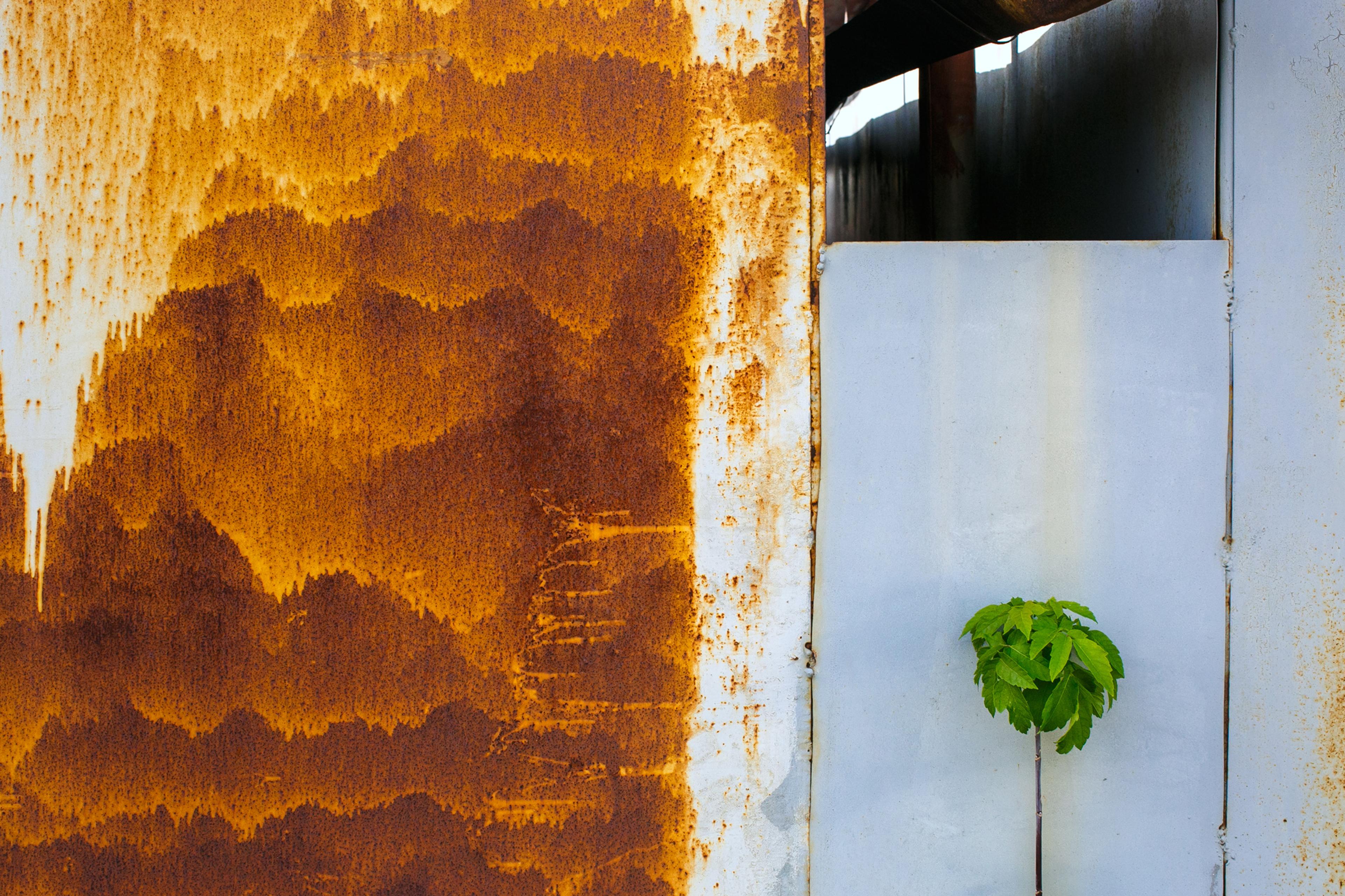 20171007-andriimur-plantindesert-kyiv-ukraine_web.jpg