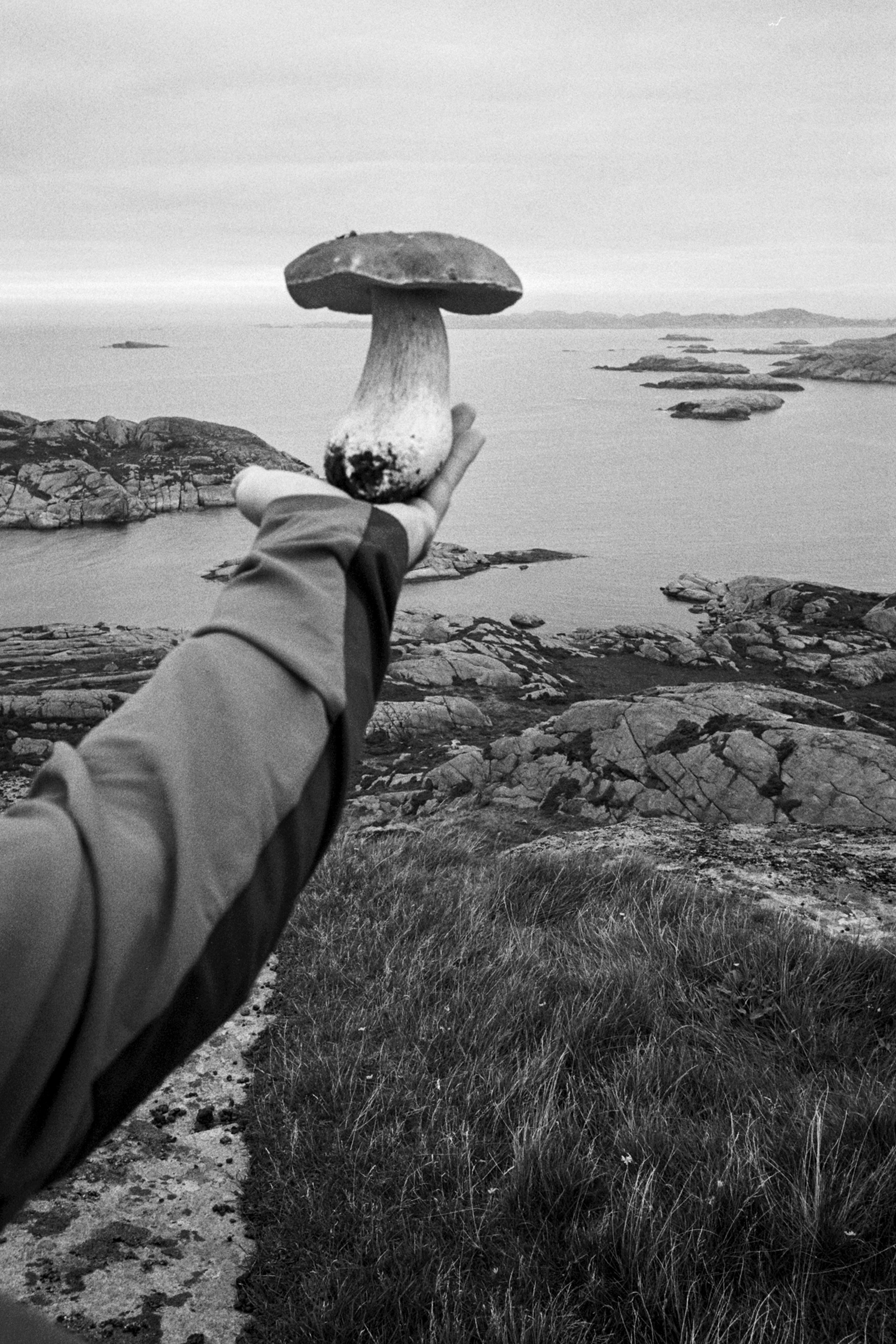 202409-n575fr30-andriimur-egersund-norway_web.jpg