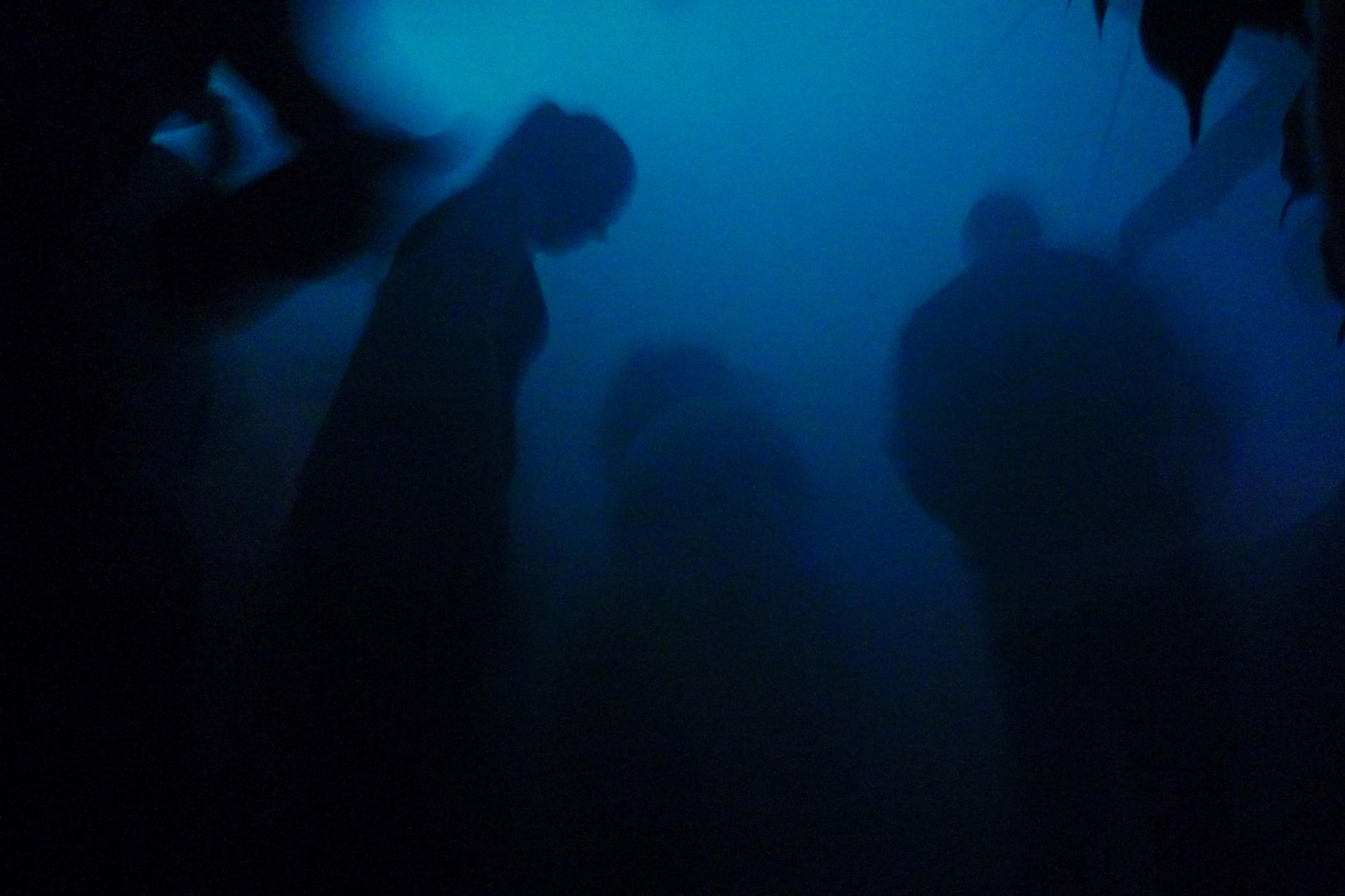 20190526-andriimur-bluefog-tallinn-estonia_web.jpg