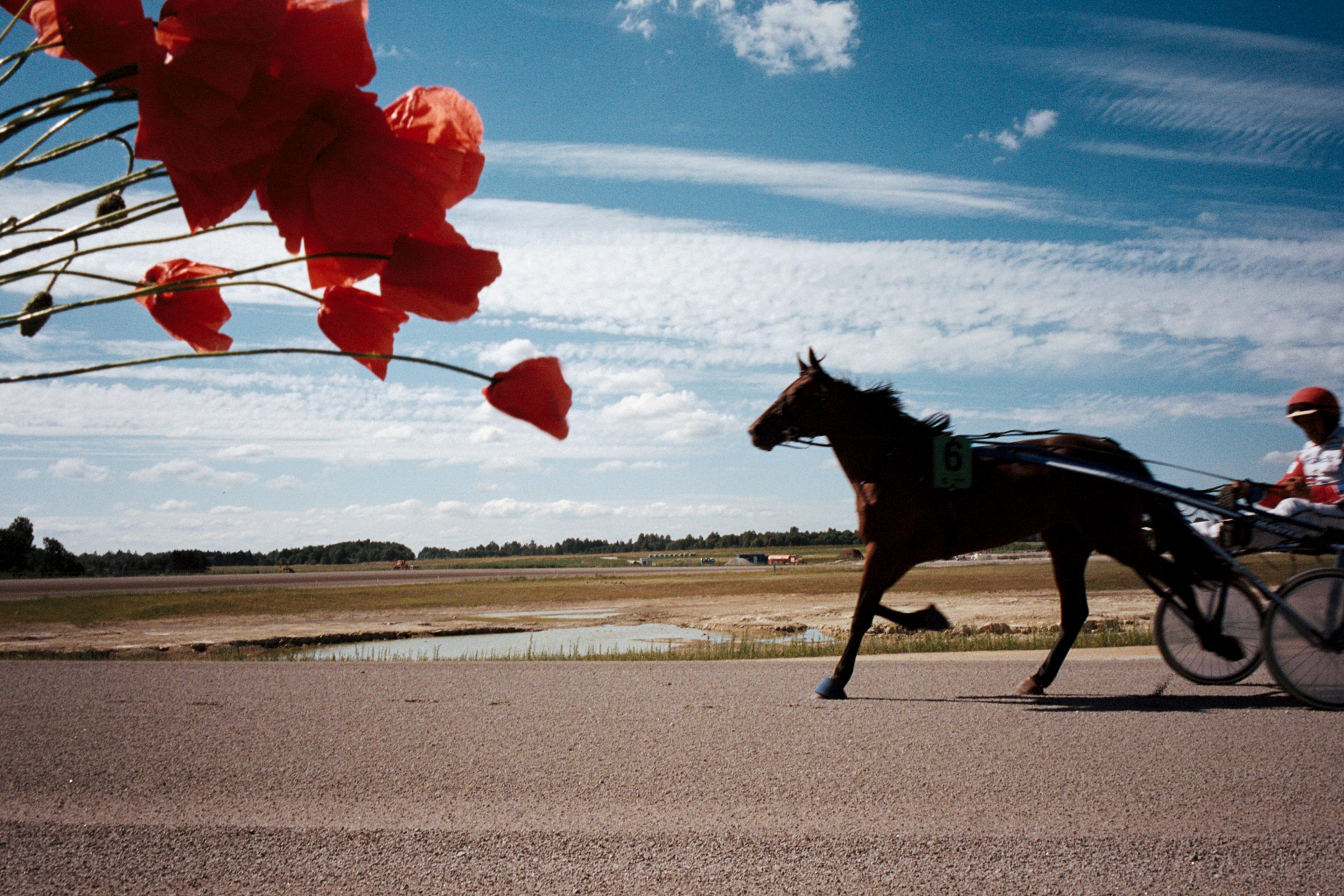 202107-n136fr34-andriimur-hippodrome -estonia_web.jpg