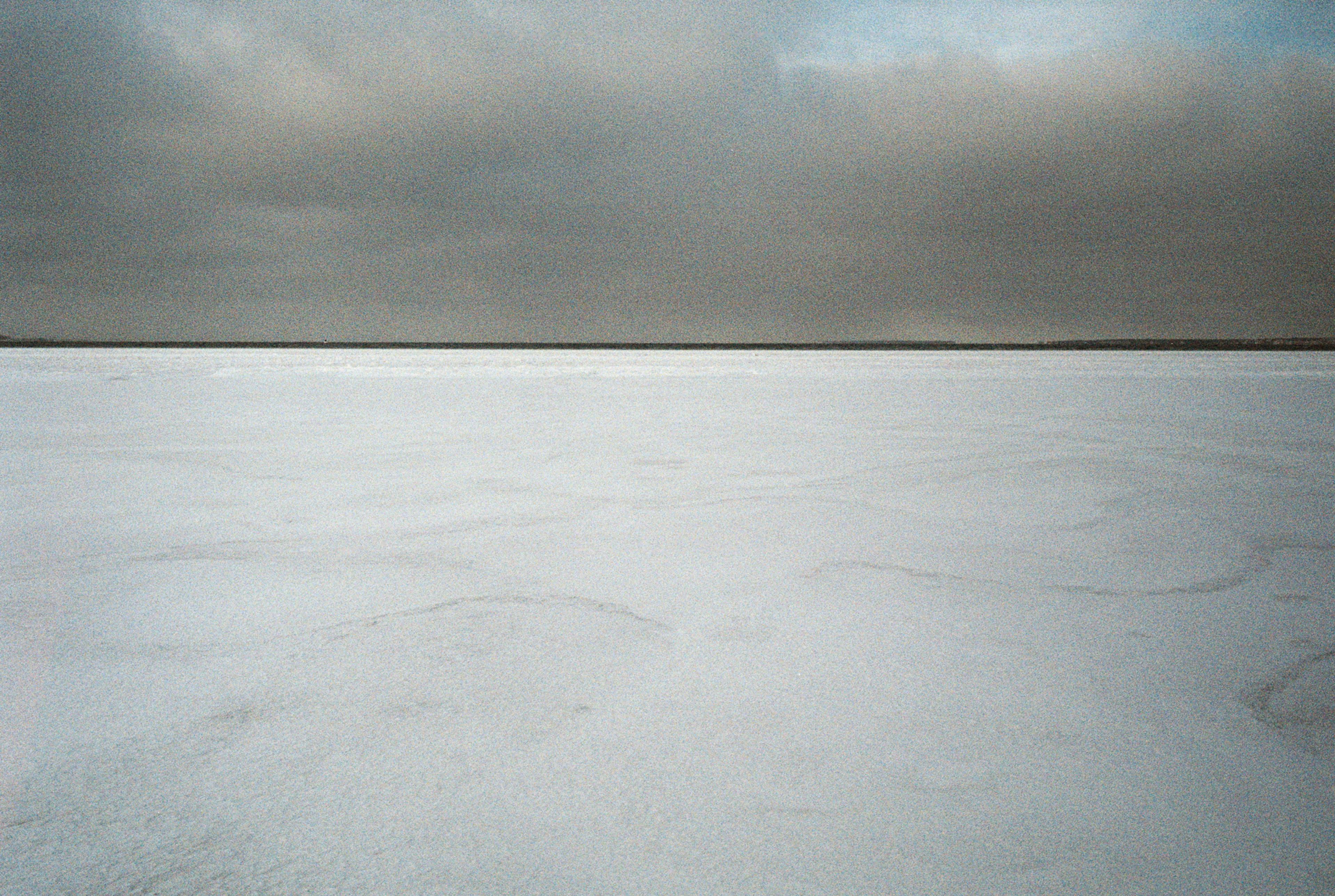202102-n61fr30-andriimur-tallinn-estonia_web.jpg