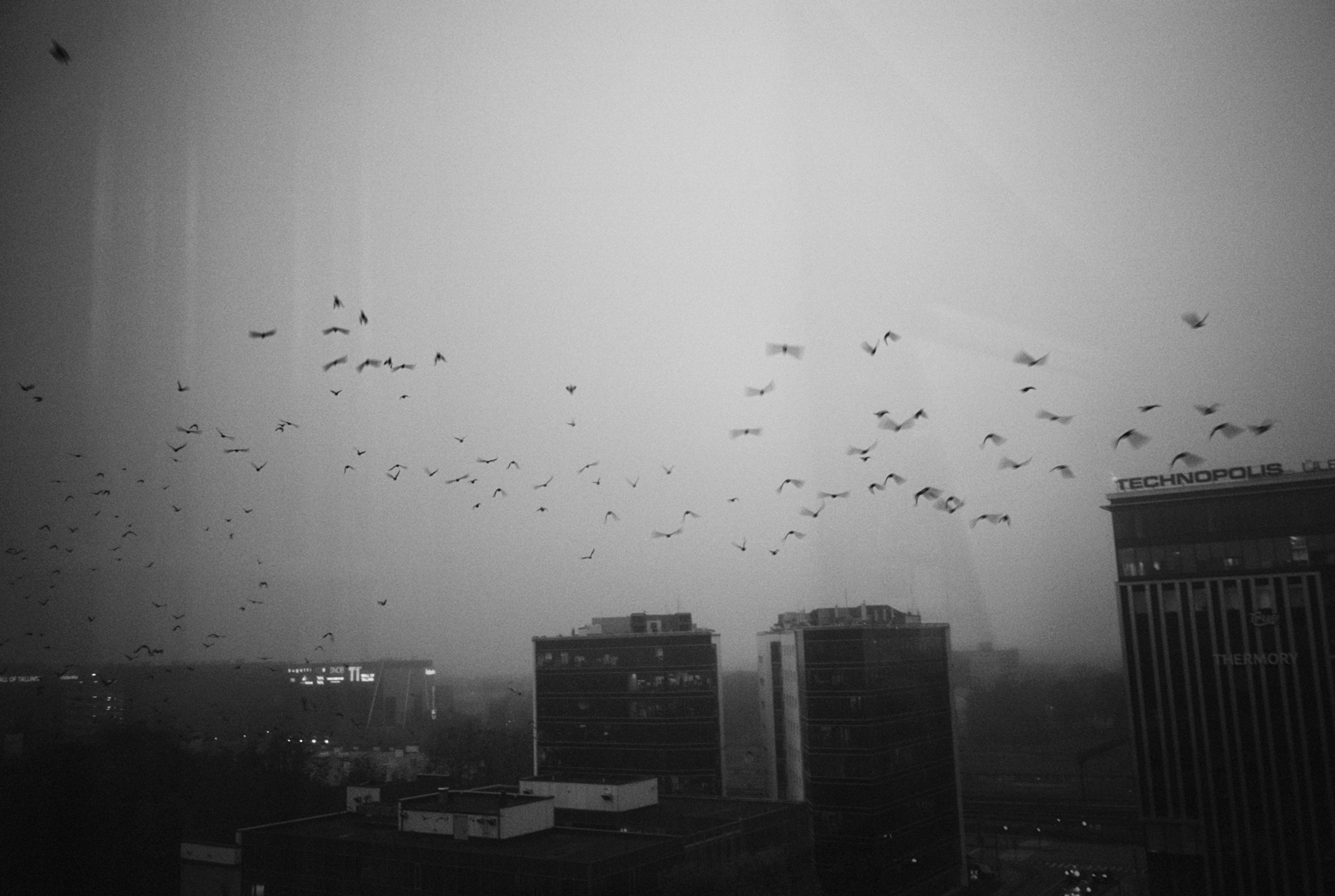 06_202010-n26fr19-17-andriimur-tallinn-estonia_web.jpg