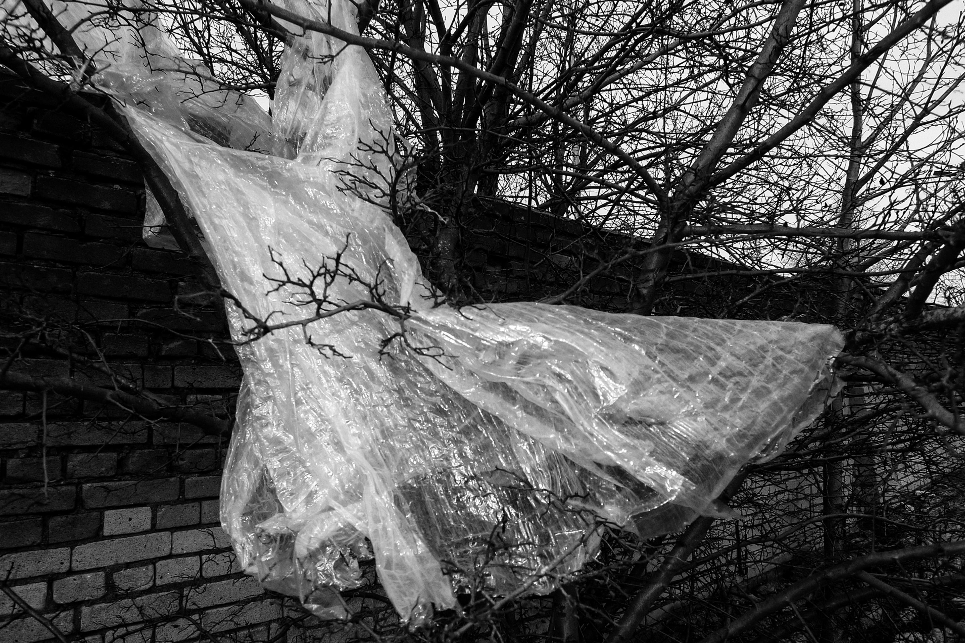 03_20190225-her-andriimur-tallinn-estonia_web.jpg