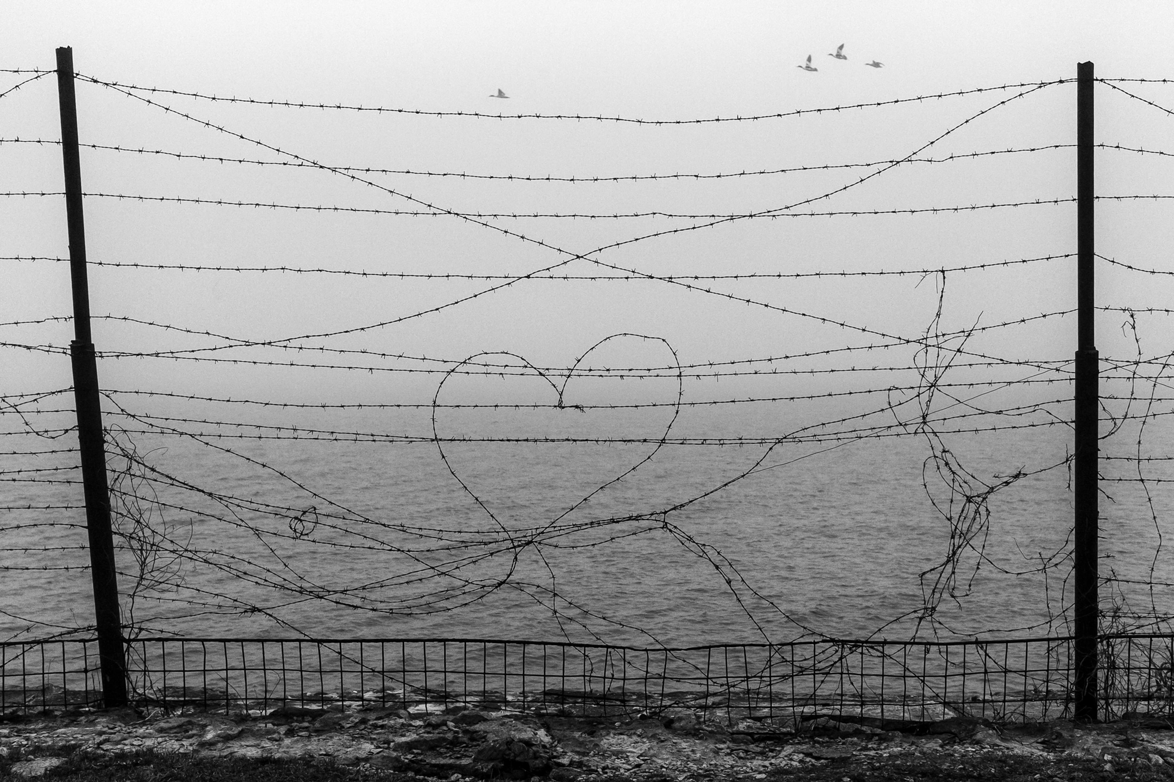 Cover image from Drops of Melancholy