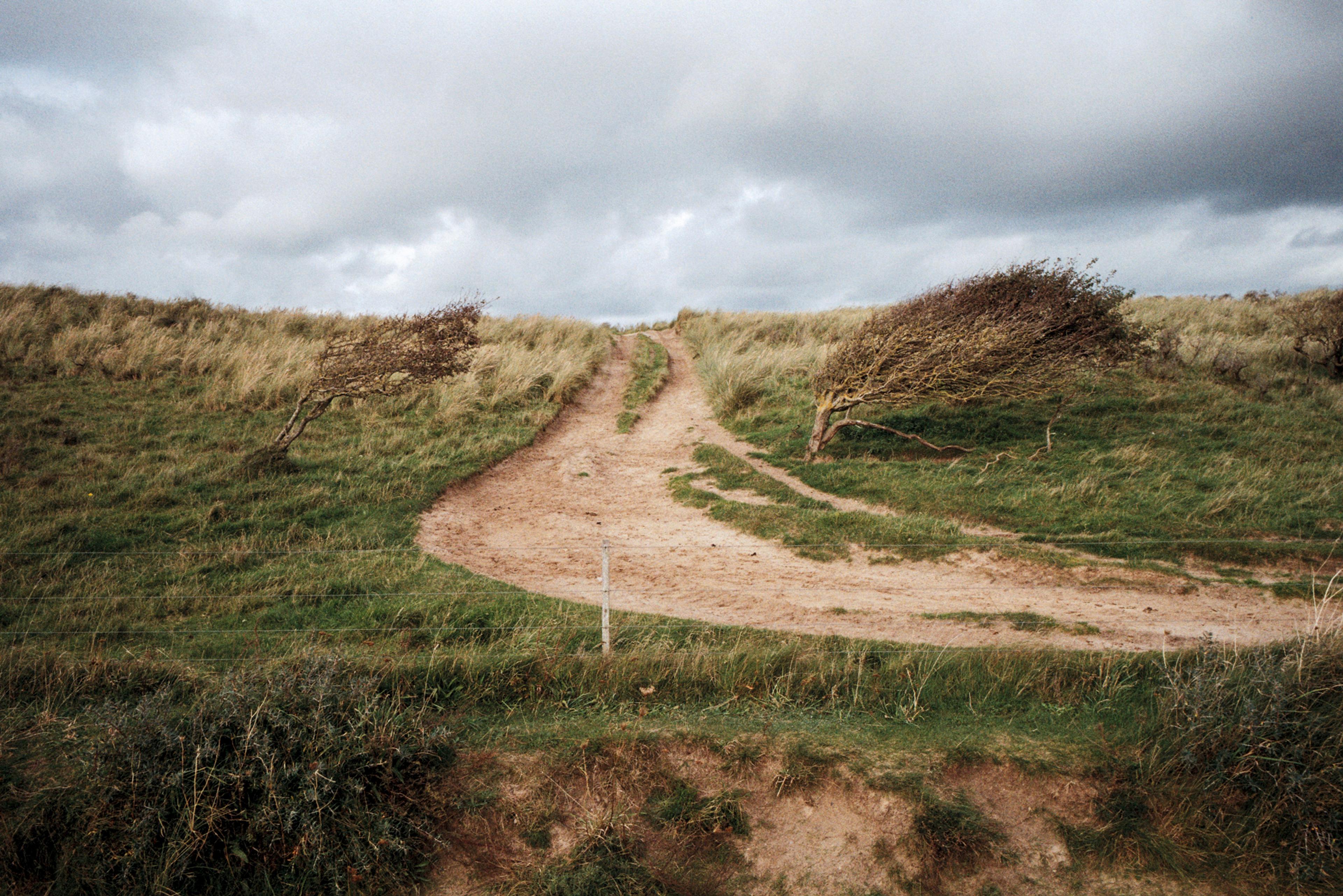 202409-n585fr19-andriimur-rubjergknude-denmark_1_web.jpg