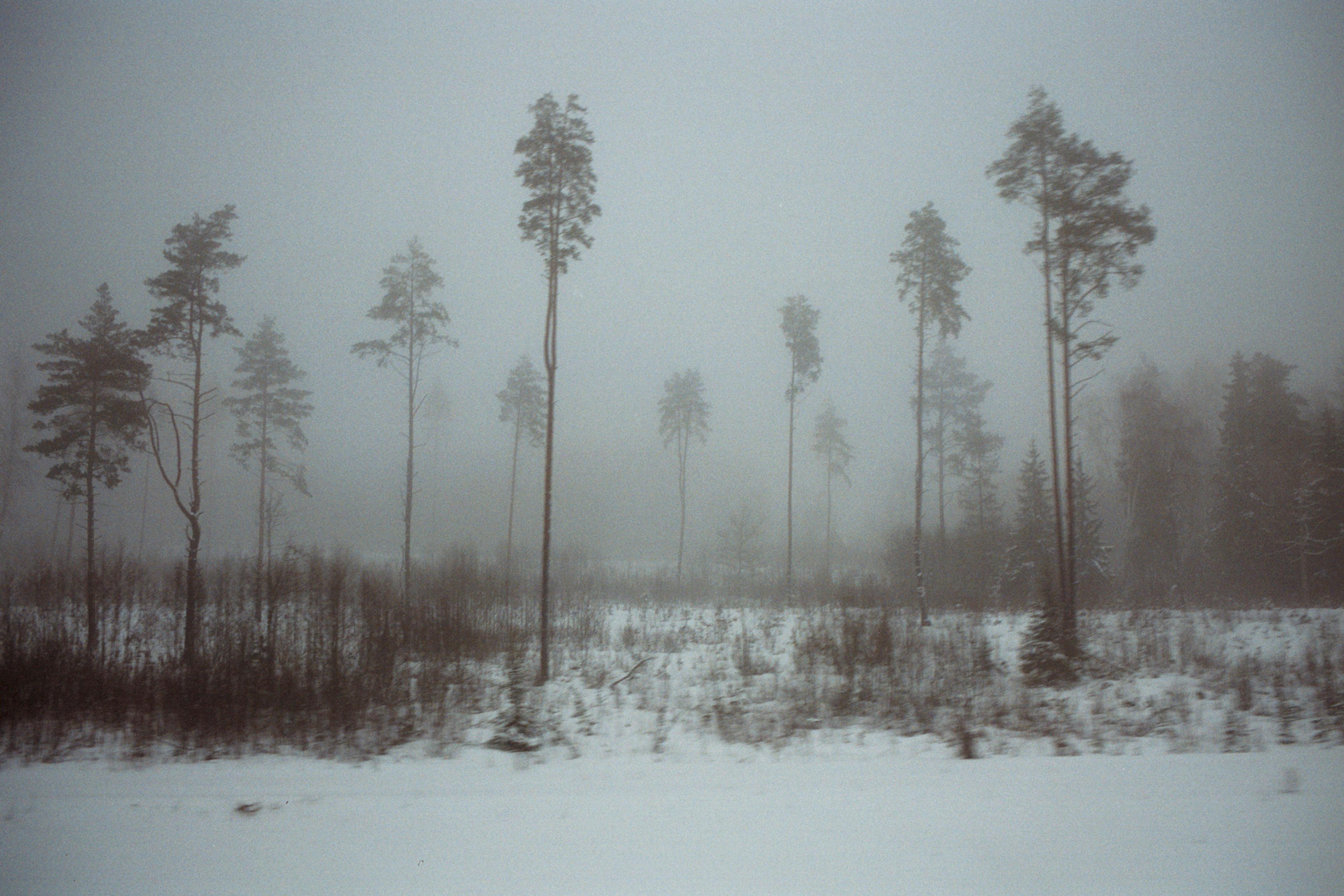 202312-n481fr31-andriimur-countryside-estonia_web.jpg