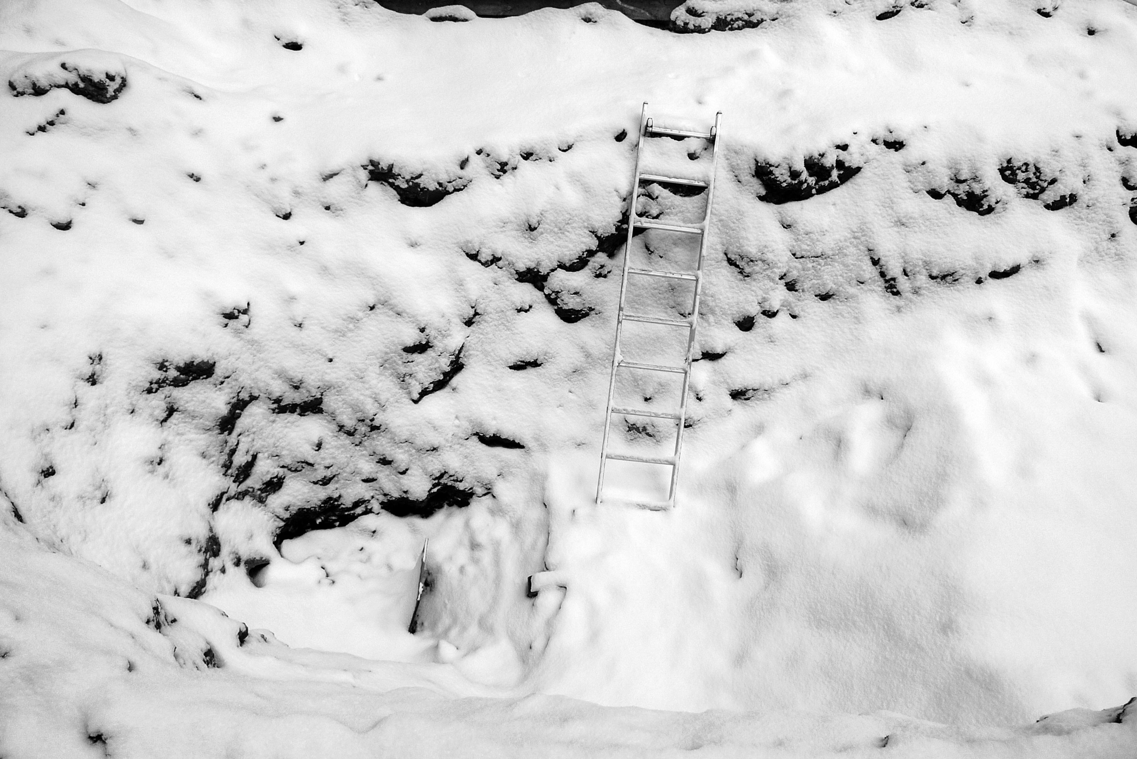 20190311-andriimur-ladder-kalamaja-tallinn-estonia_web.jpg