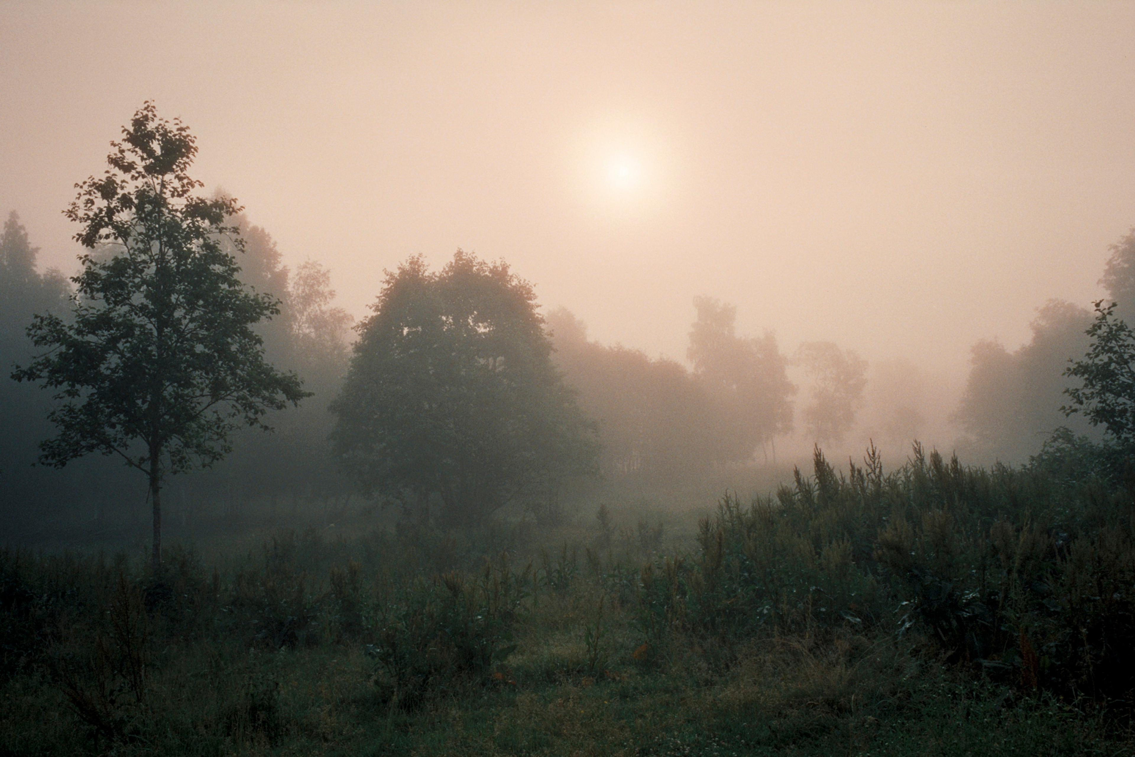 202207-n278fr29-andriimur-artofnature-estonia_web.jpg