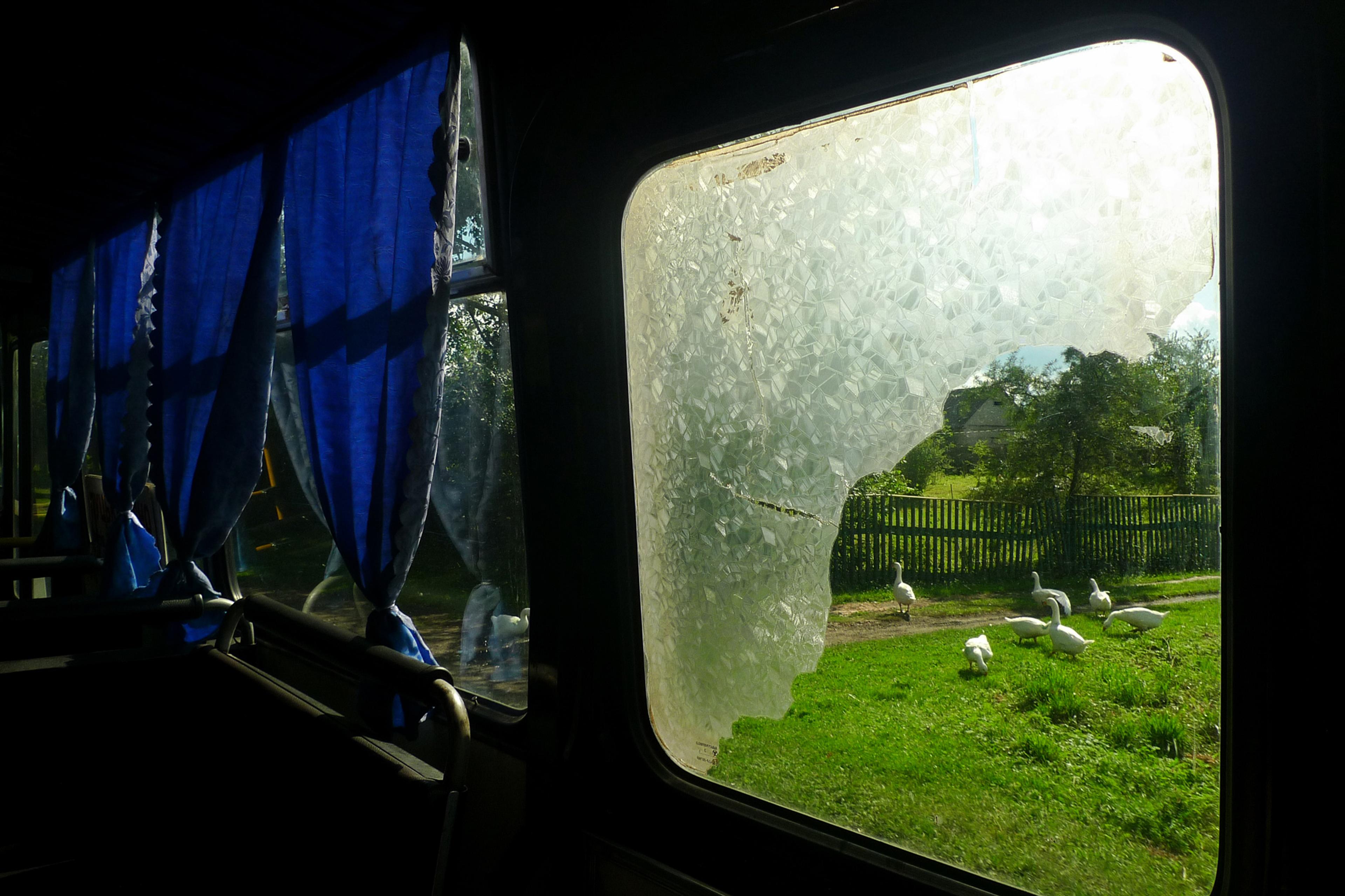 20190811-andriimur-geese-volyn-ukraine_web.jpg