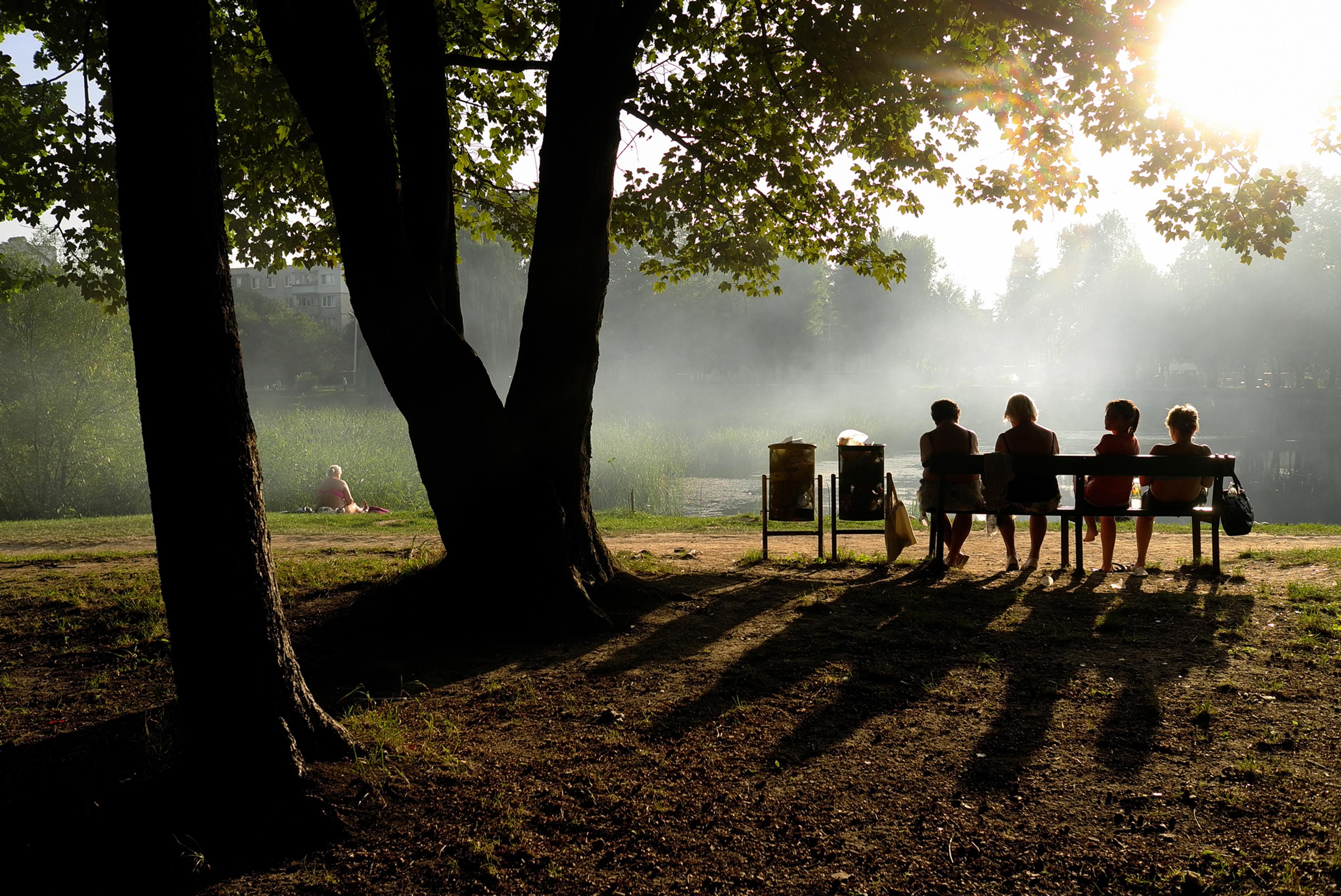 20190810-andriimur-summer-branch-lviv-ukraine_web.jpg