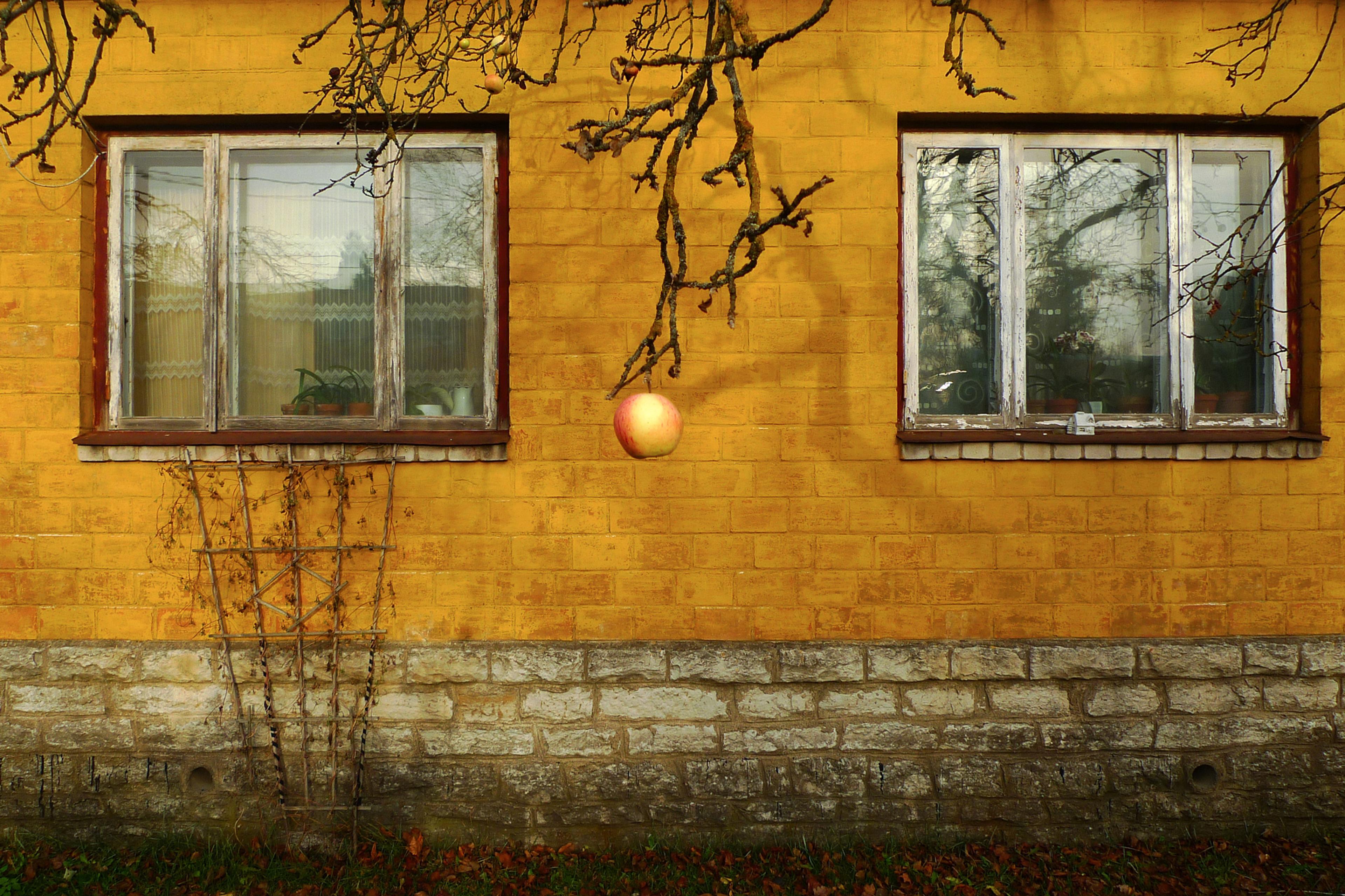 20191106-andriimur-last-apple-tallinn-estonia_corrected_web.jpg