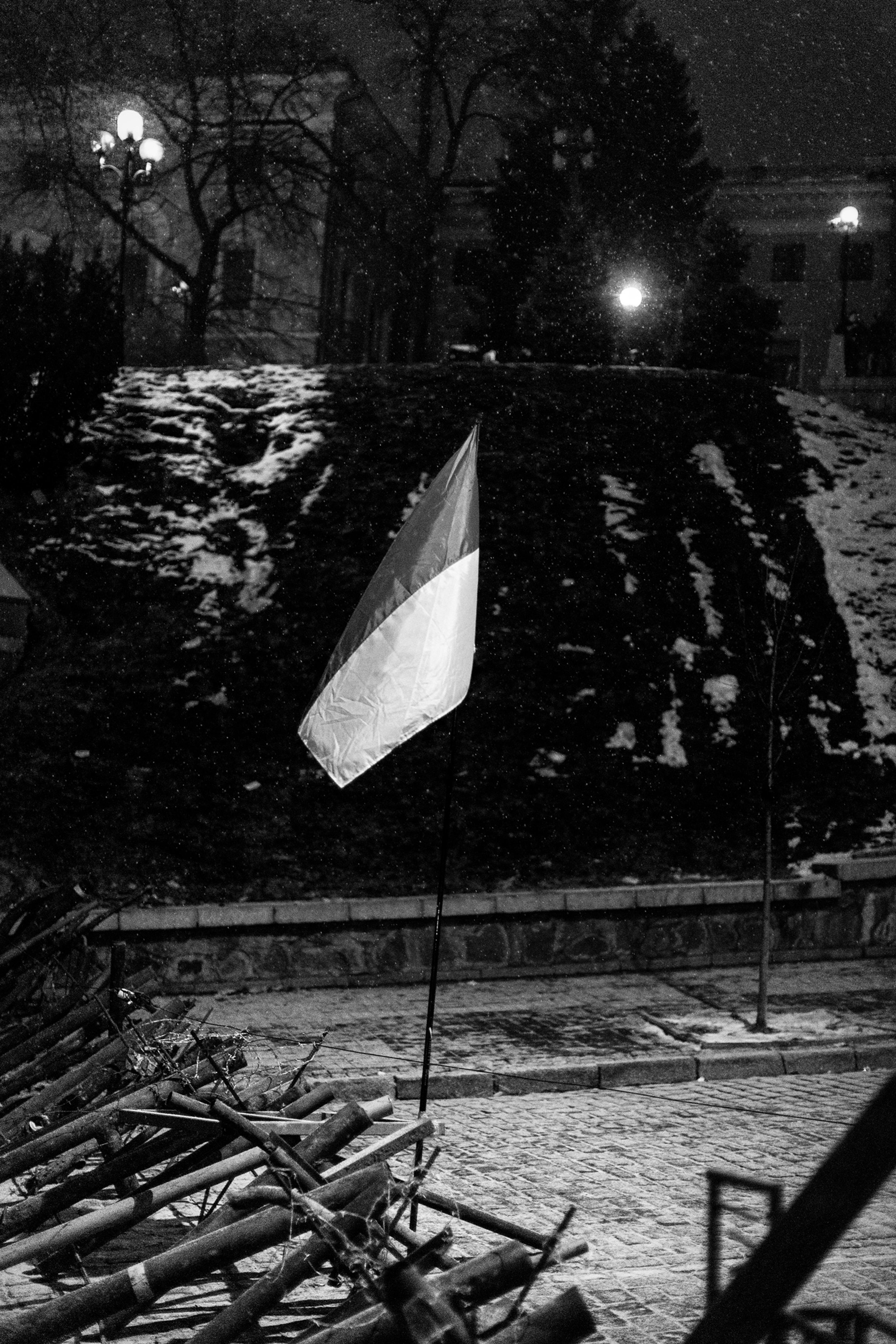 2014-maidan-theflagofdignity-andriimur_web.jpg