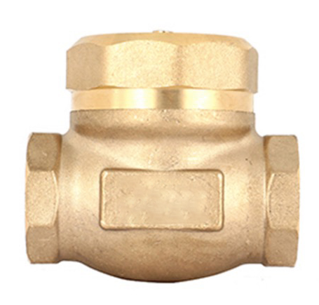 Check Valve