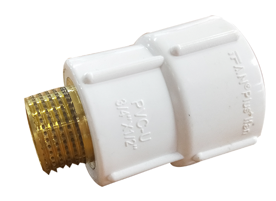 Socket with Female Brass