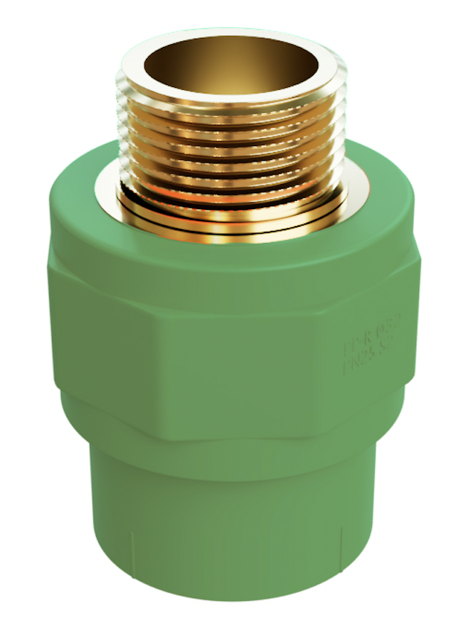 Male Socket