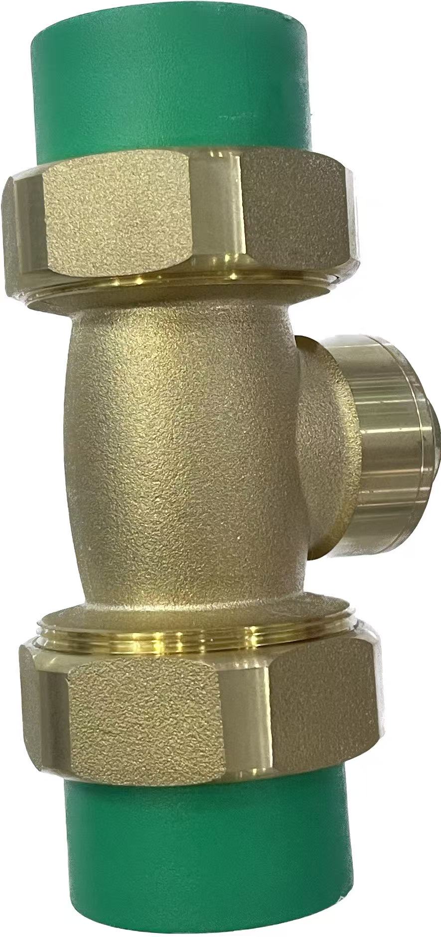 PPR Check Valve