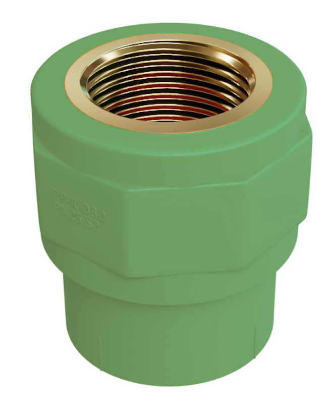 Female Socket