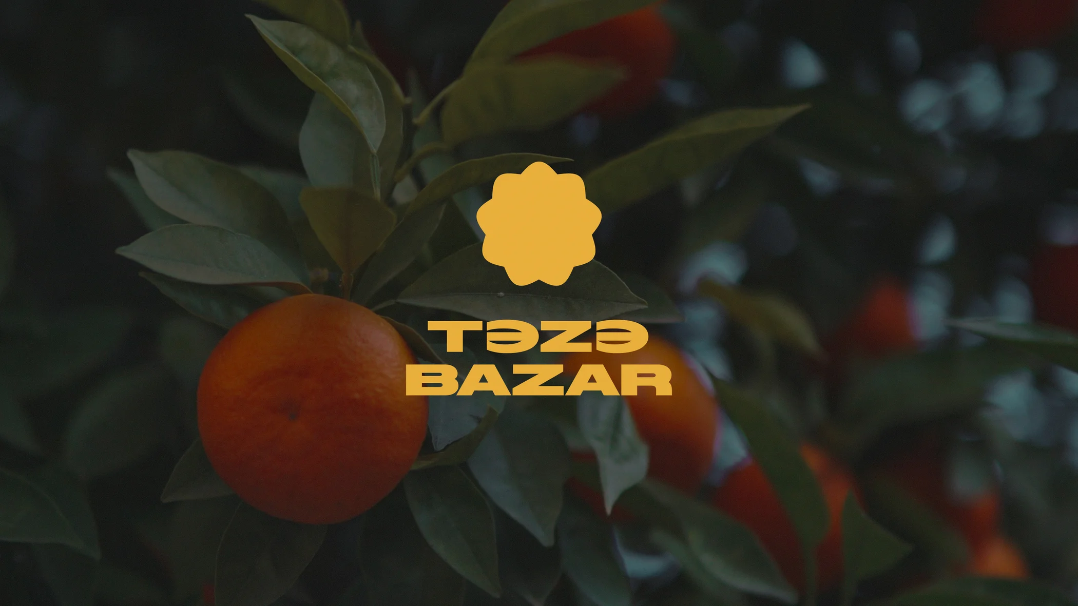 Teze Bazar