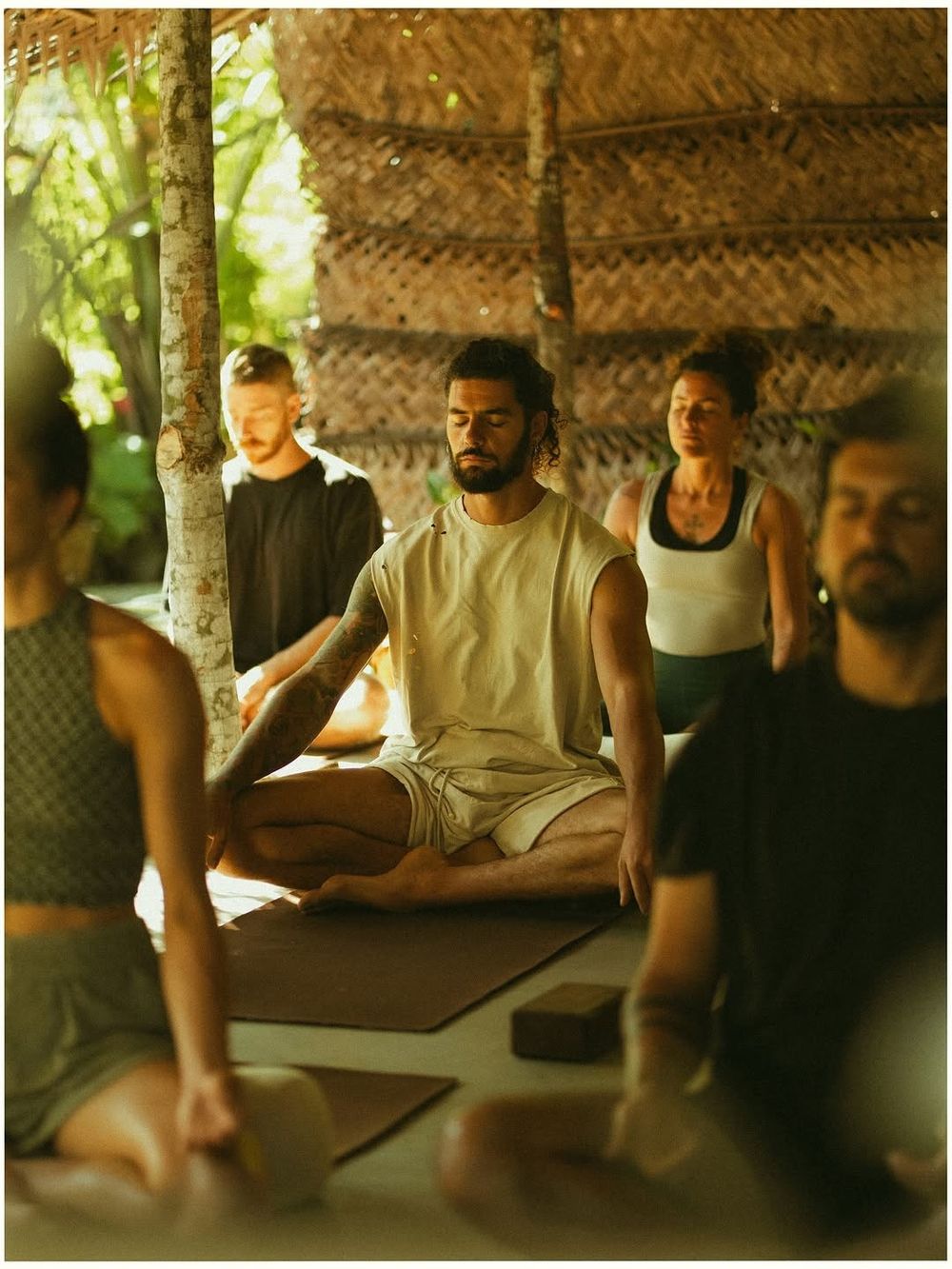 Wellness practitioners audience