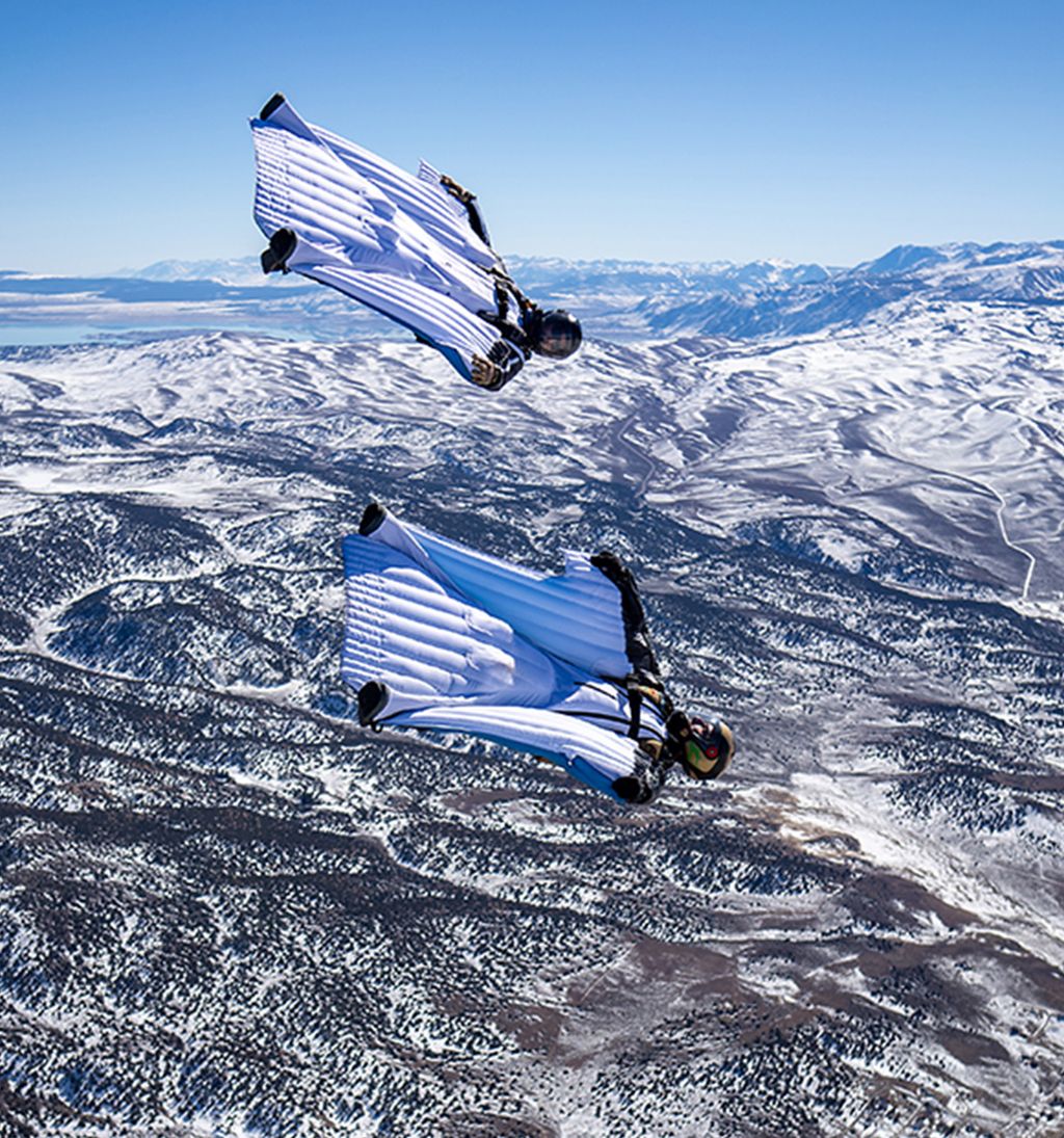 BASE jumping gear: BASE jumping parachute: Creature | Squirrel