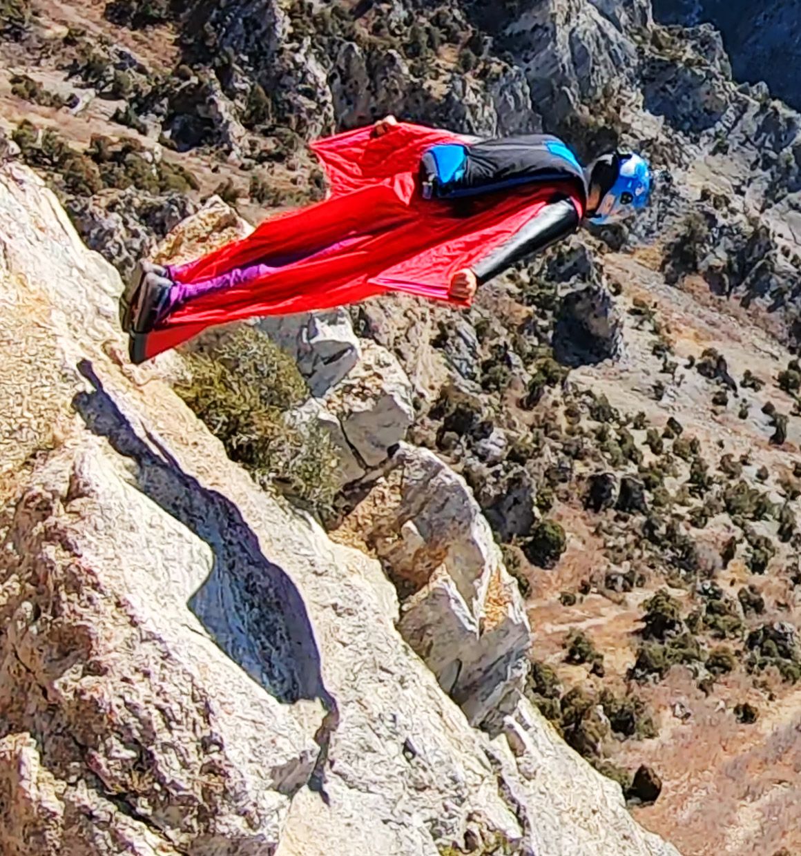 Sweet Wing ブラウス Sweet Wing ブラウス Wing Sweet ブラウス