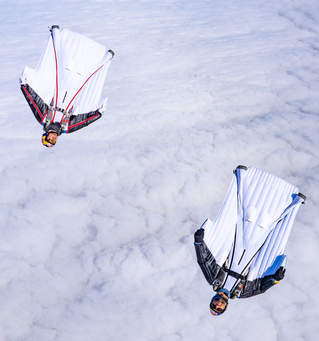 BASE jumping gear: BASE jumping parachute: Creature | Squirrel
