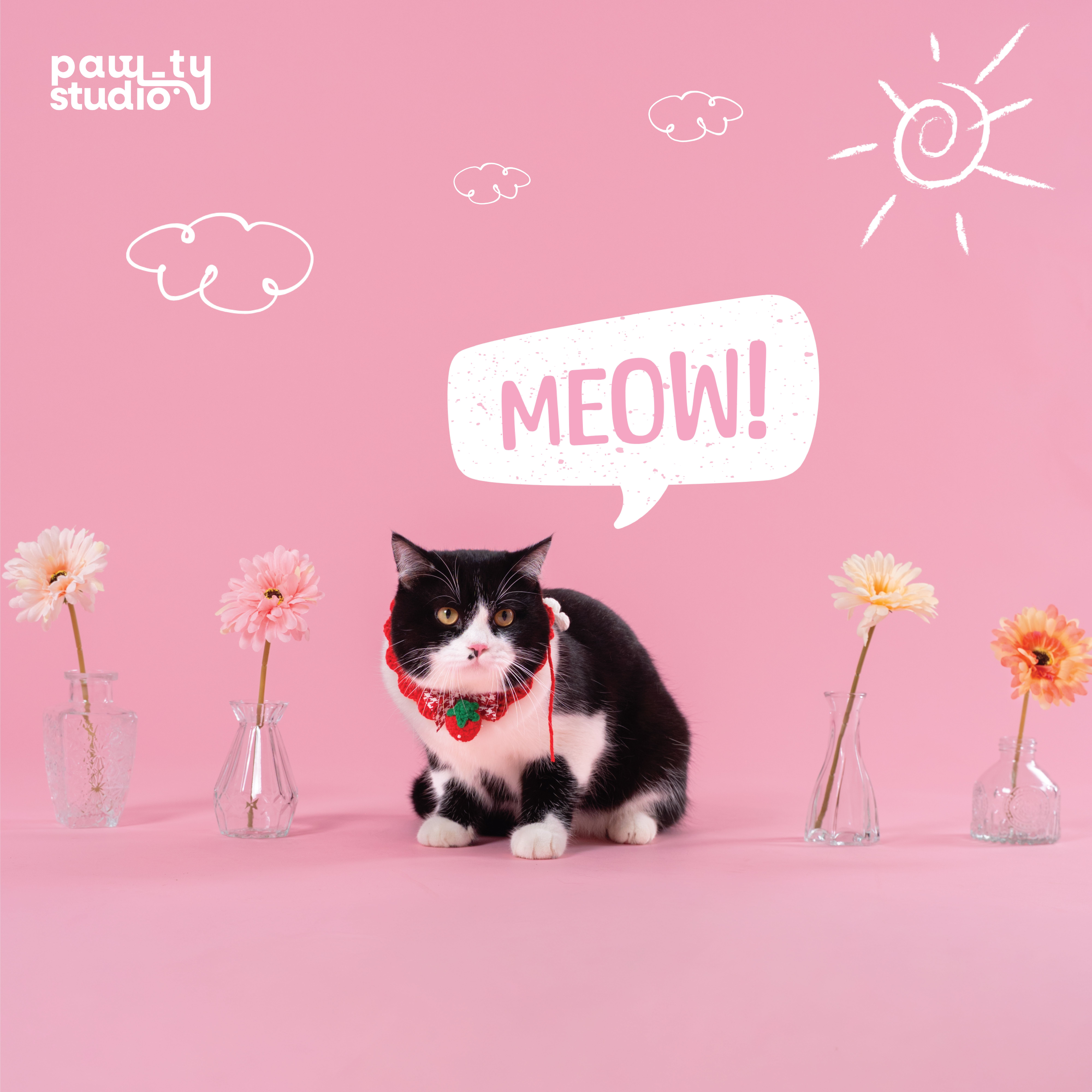 KHÁCH HÀNG MEOW