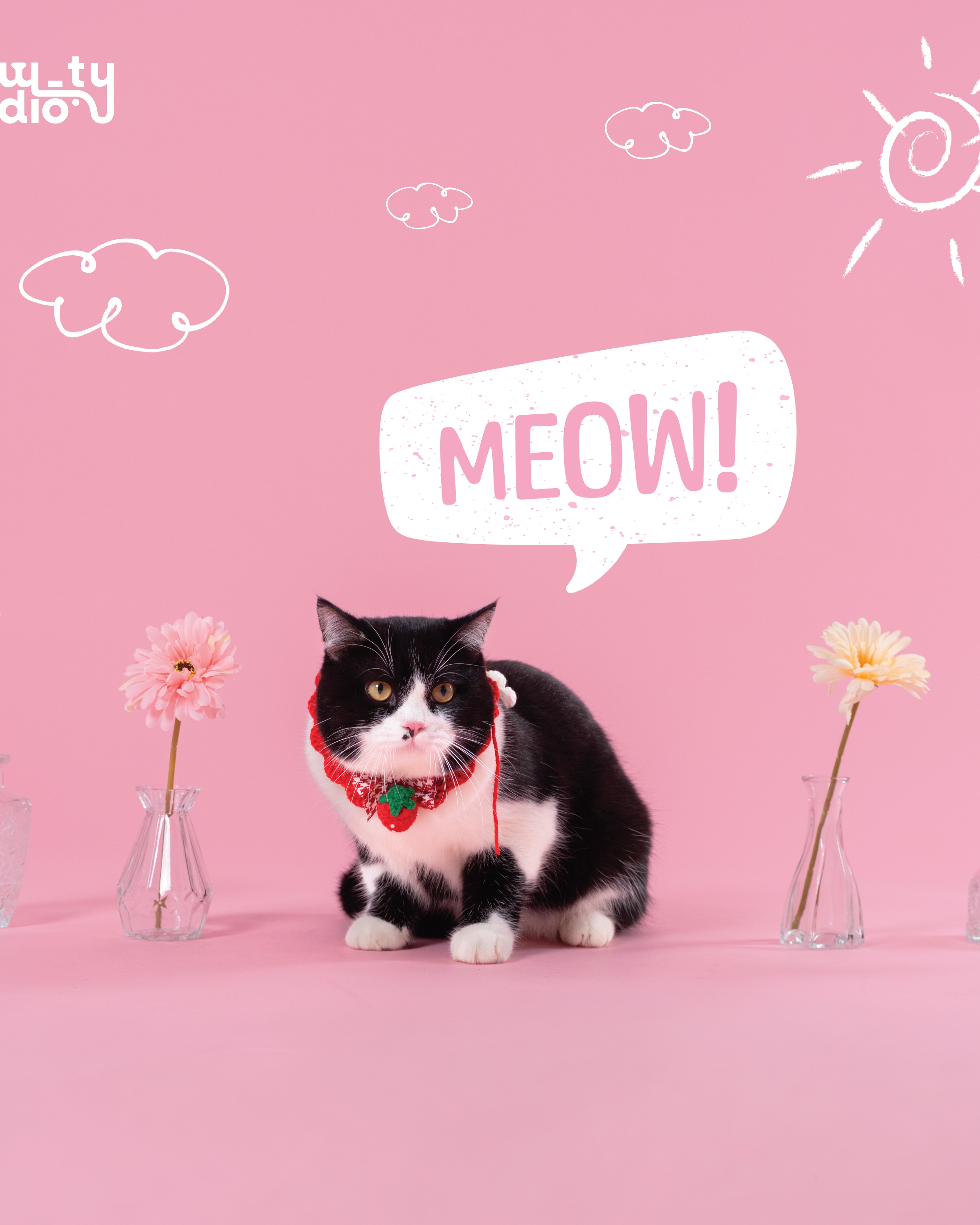 KHÁCH HÀNG MEOW