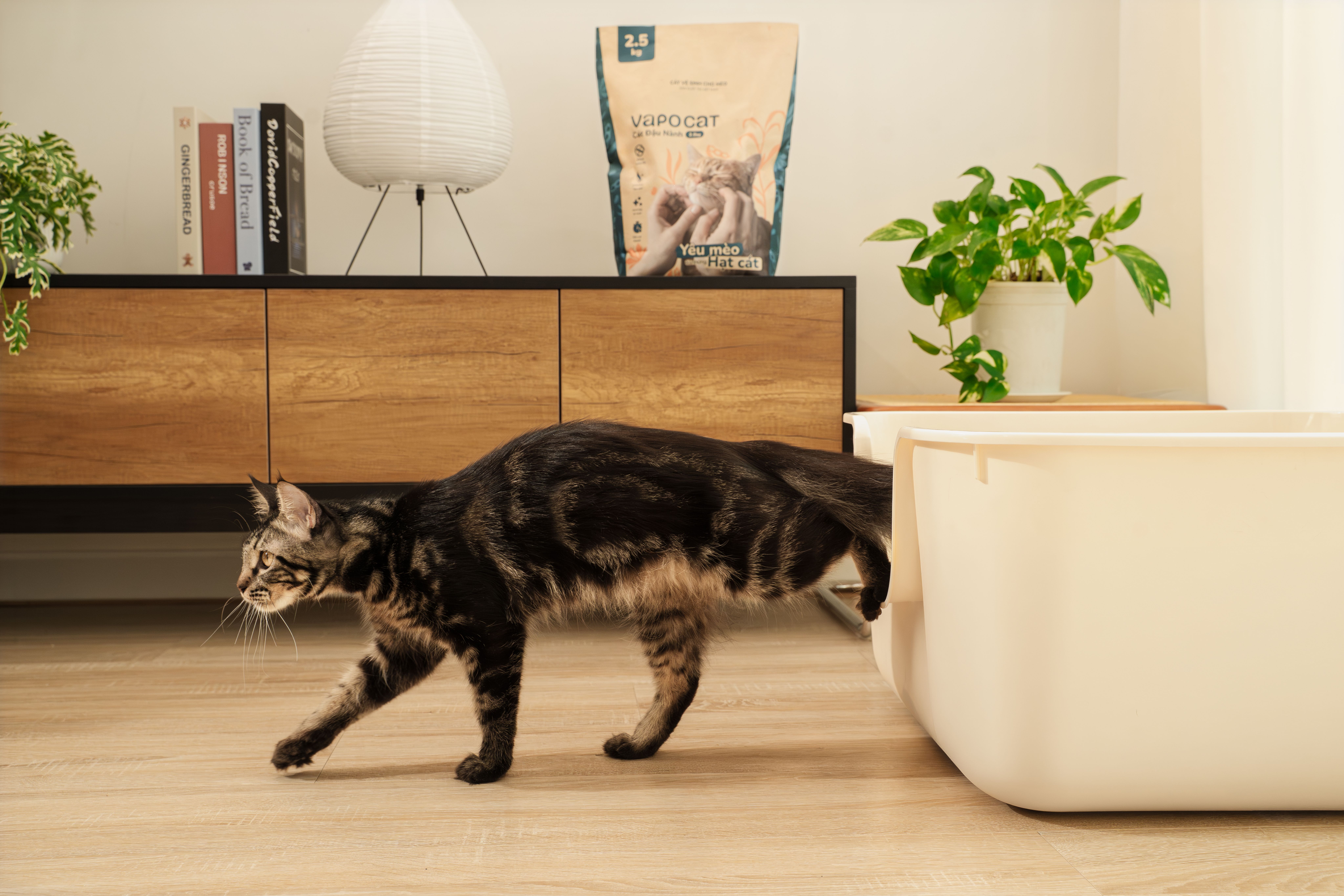VAPO CAT (CÁT XƠ DỪA & CÁT ĐẬU NÀNH)