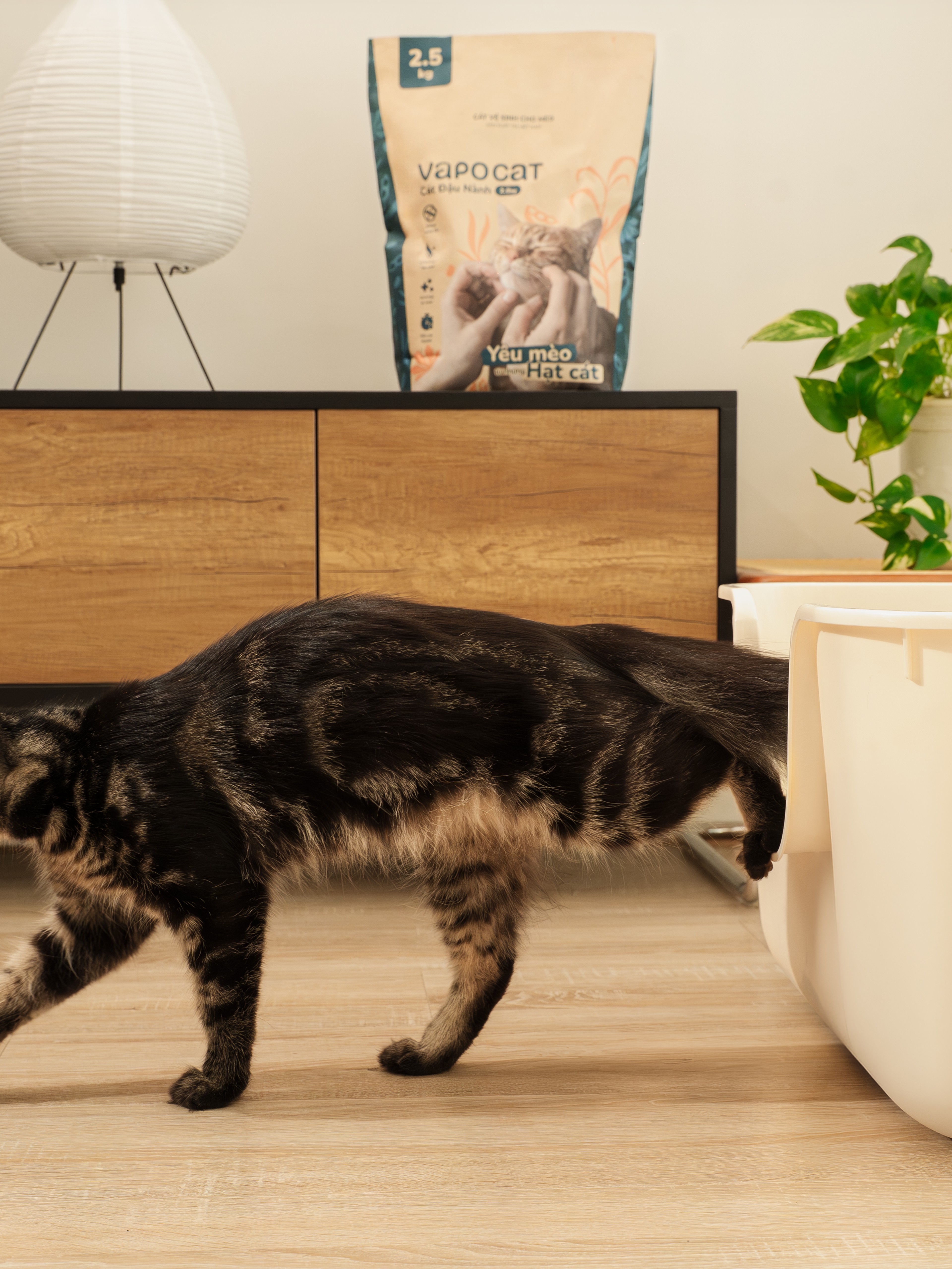 VAPO CAT (CÁT XƠ DỪA & CÁT ĐẬU NÀNH)