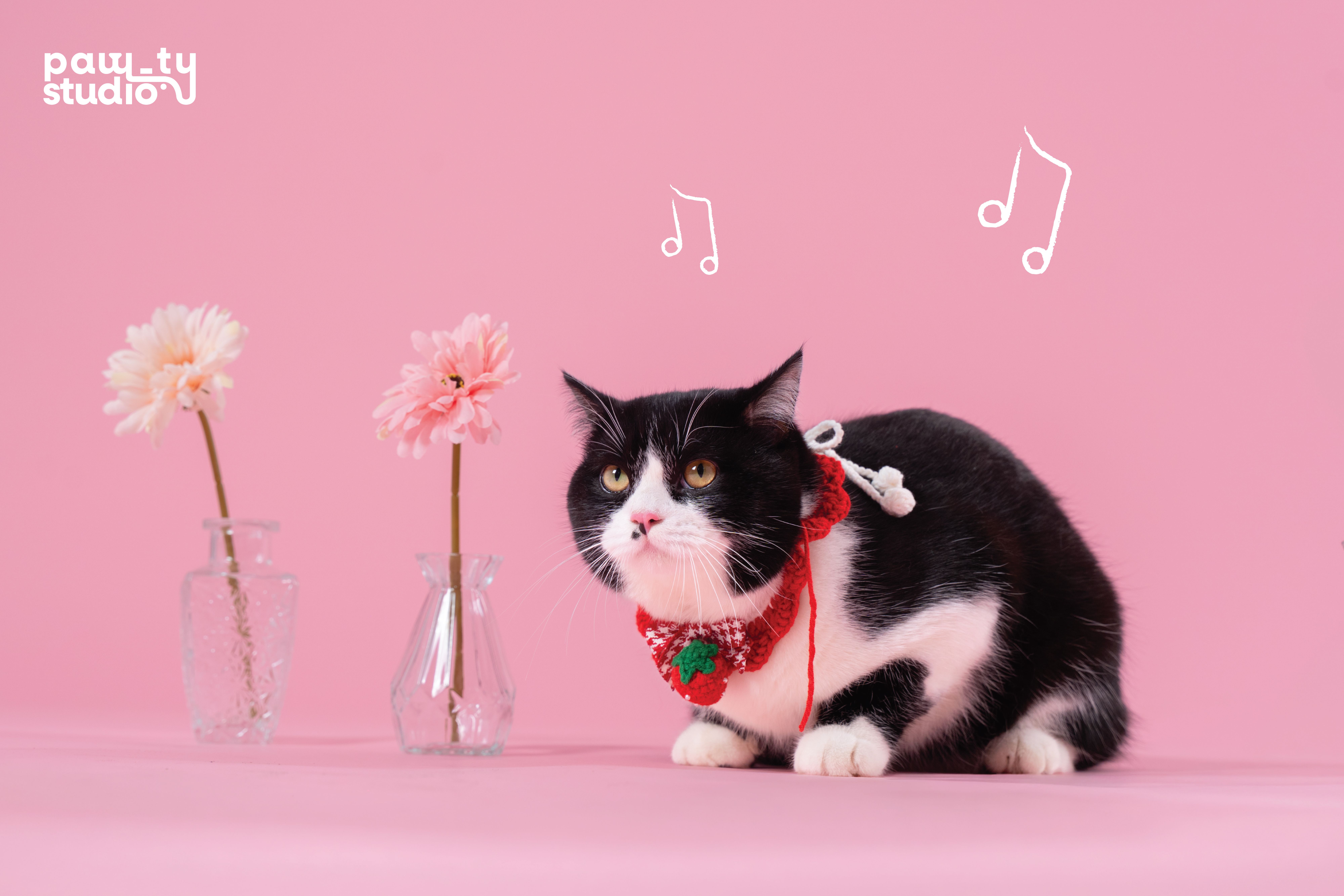 KHÁCH HÀNG MEOW