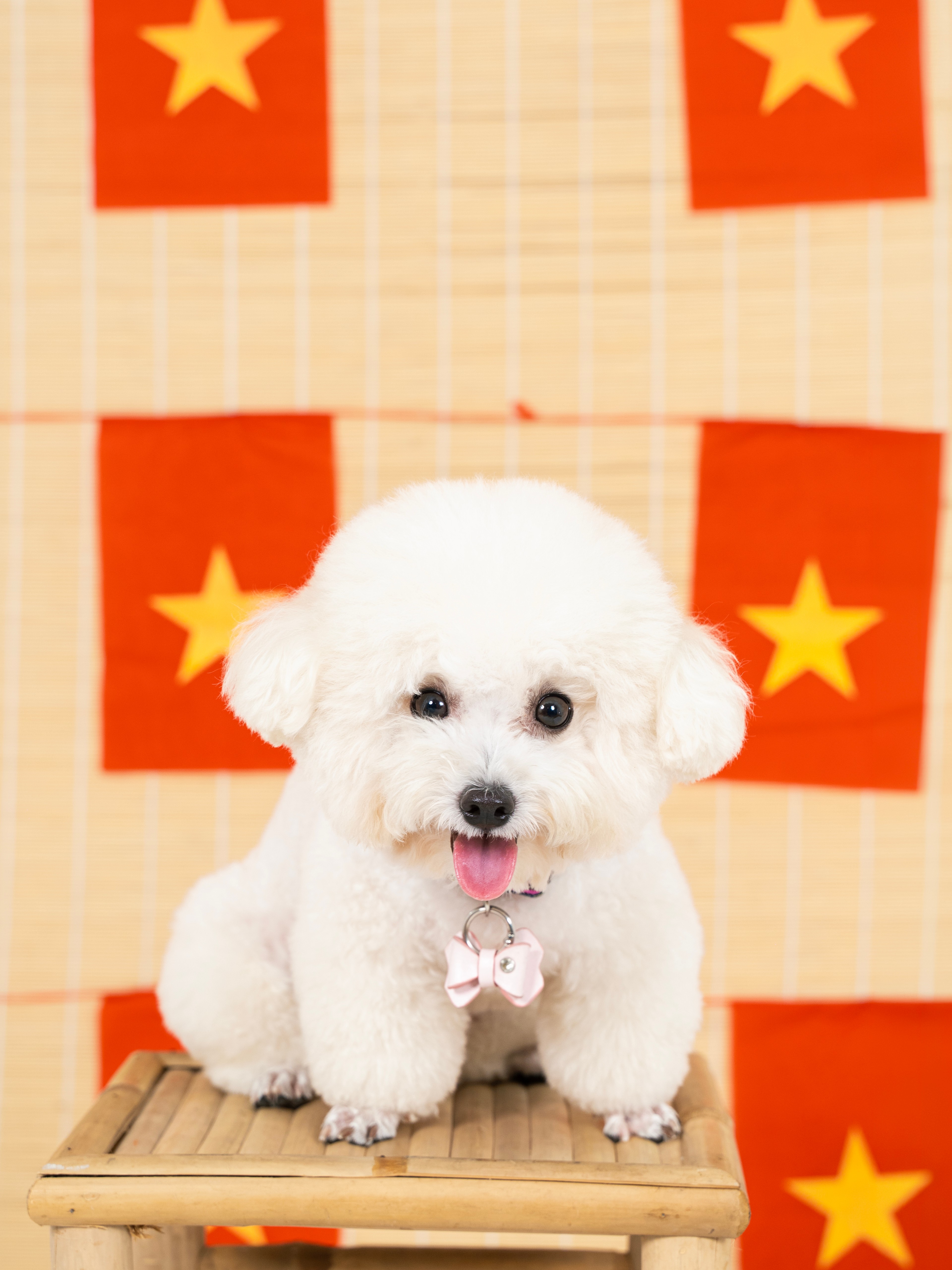 KHÁCH HÀNG PHƯƠNG UYÊN