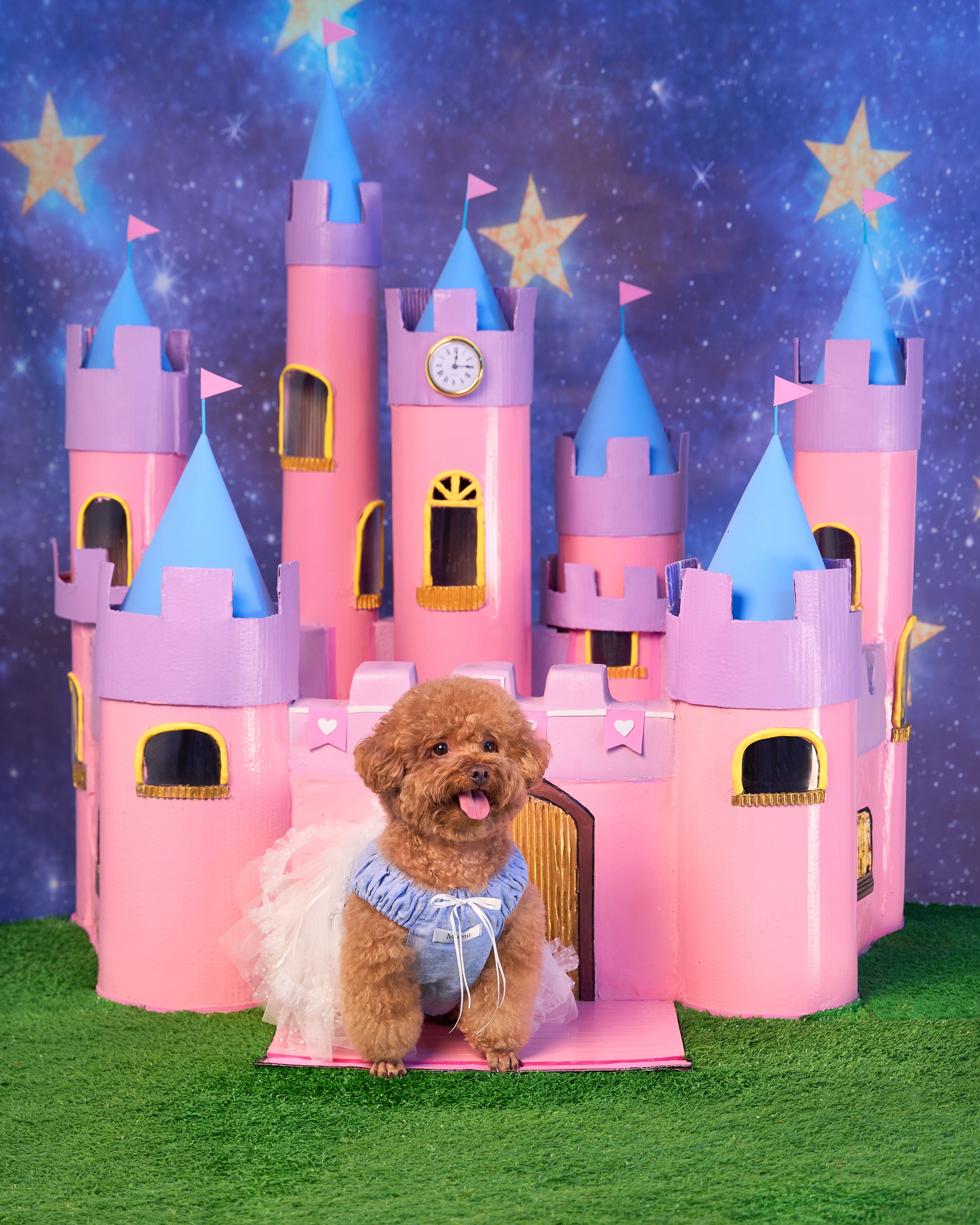 EM BÉ CAM