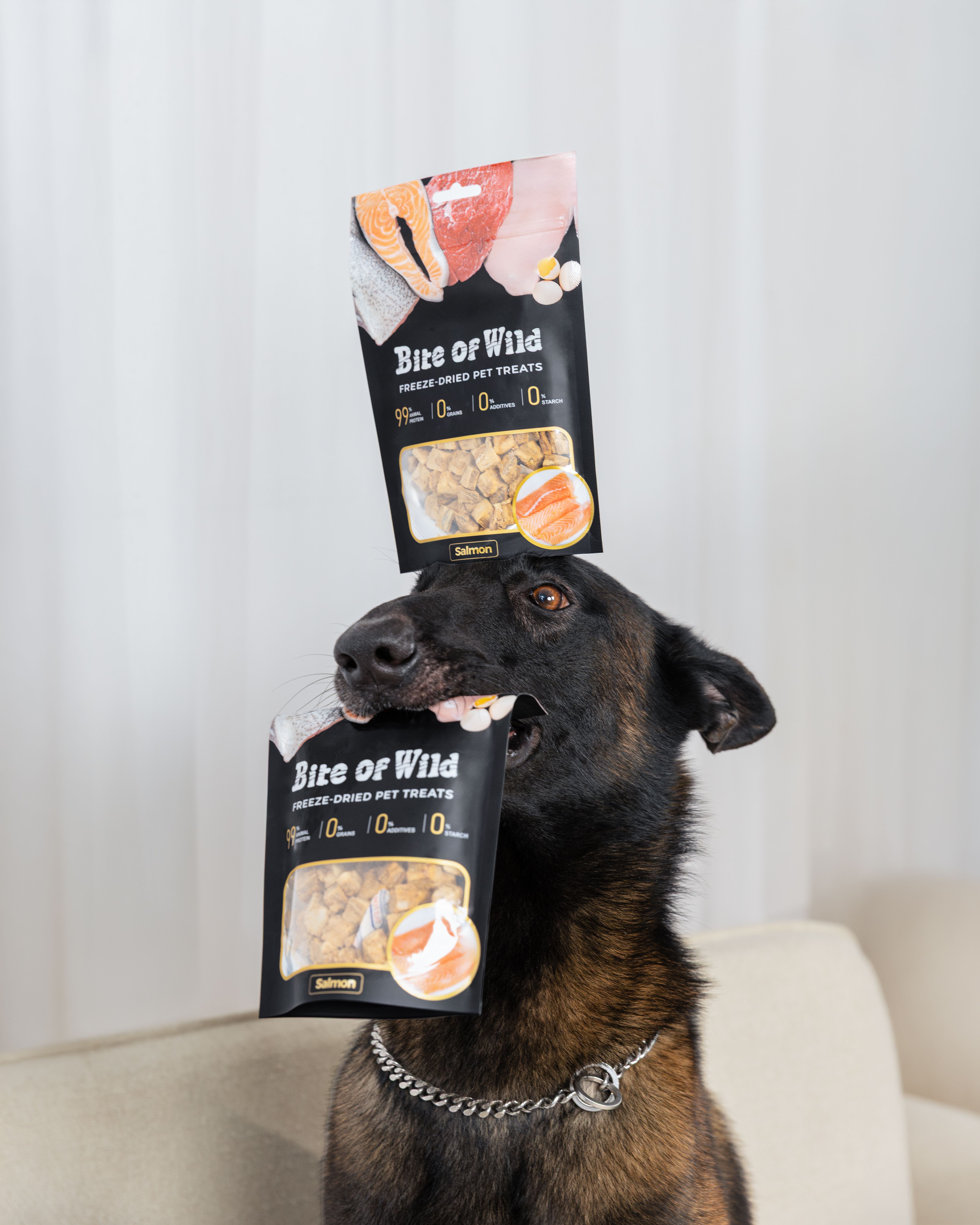 BITE OF WILD - SẢN PHẨM THỨC ĂN CHO CÚN