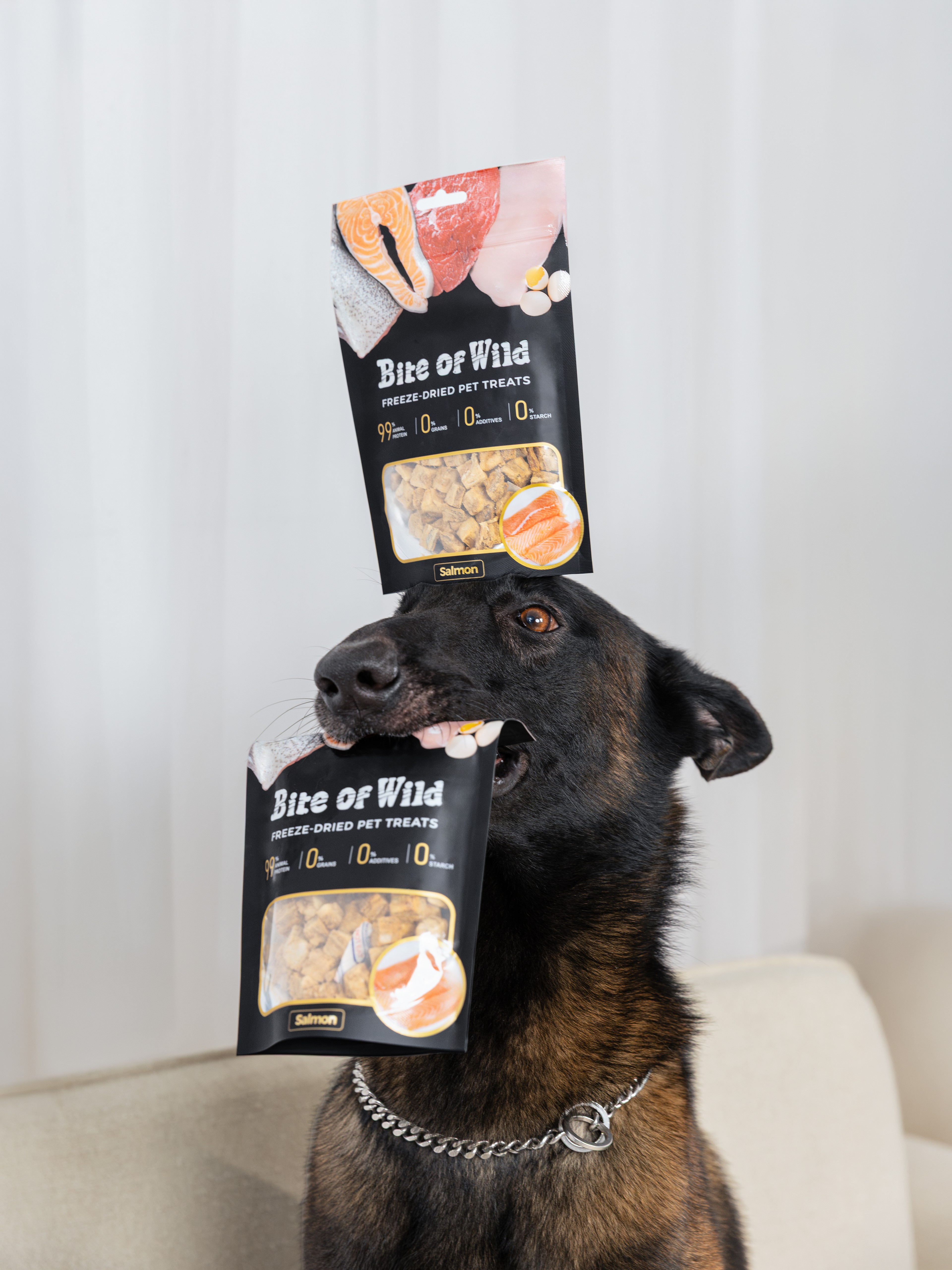BITE OF WILD - SẢN PHẨM THỨC ĂN CHO CÚN