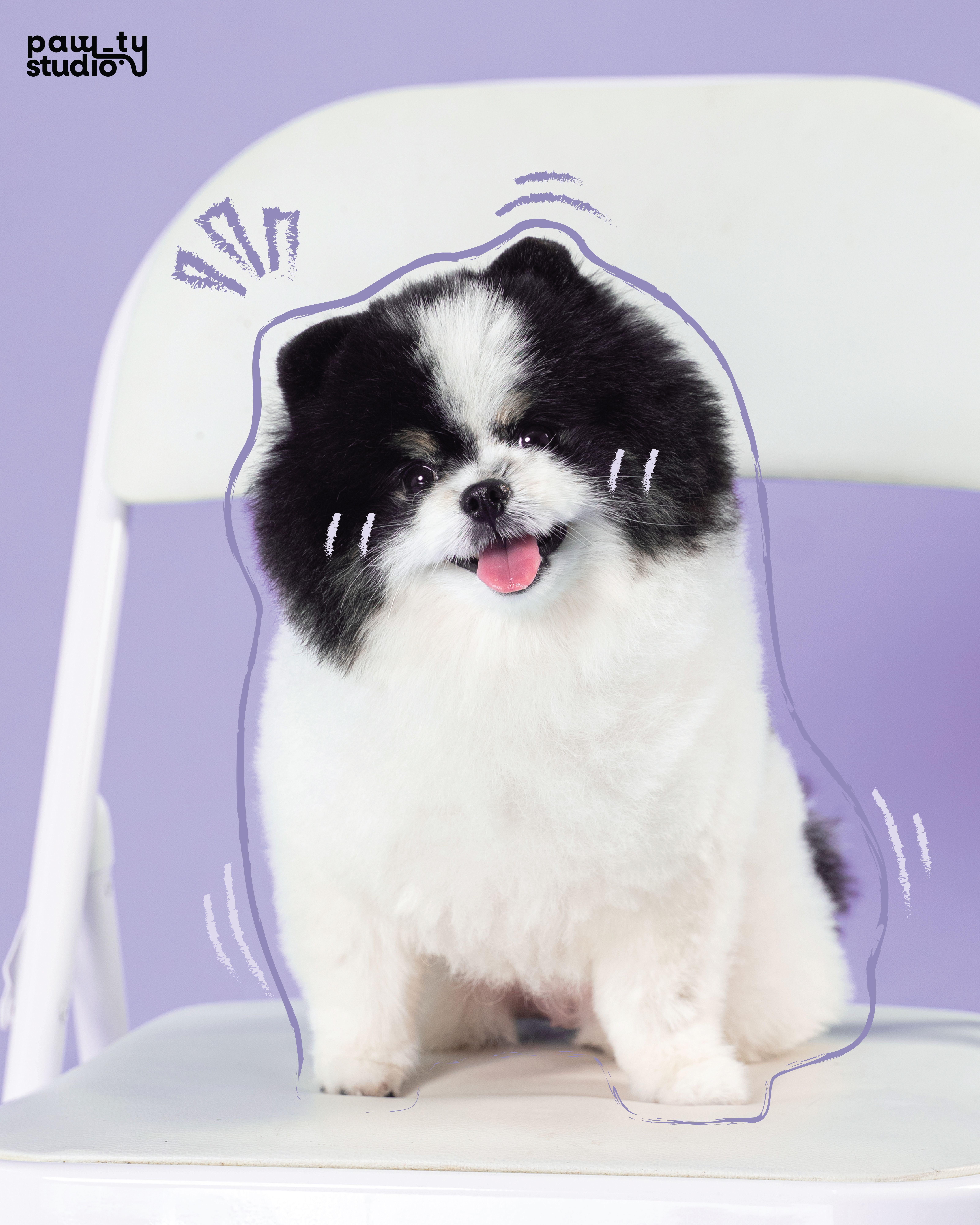 ONLY PET