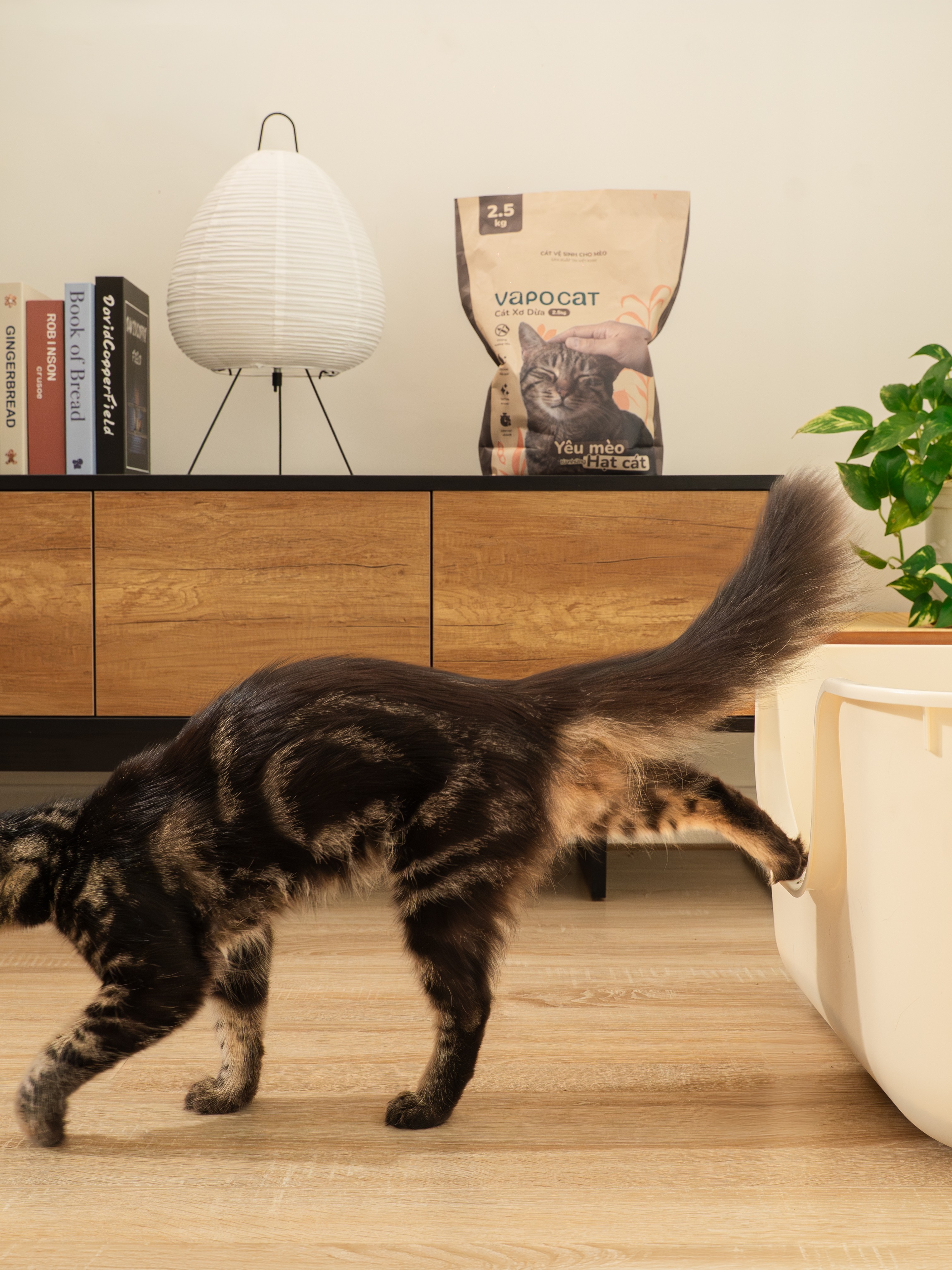 VAPO CAT (CÁT XƠ DỪA & CÁT ĐẬU NÀNH)