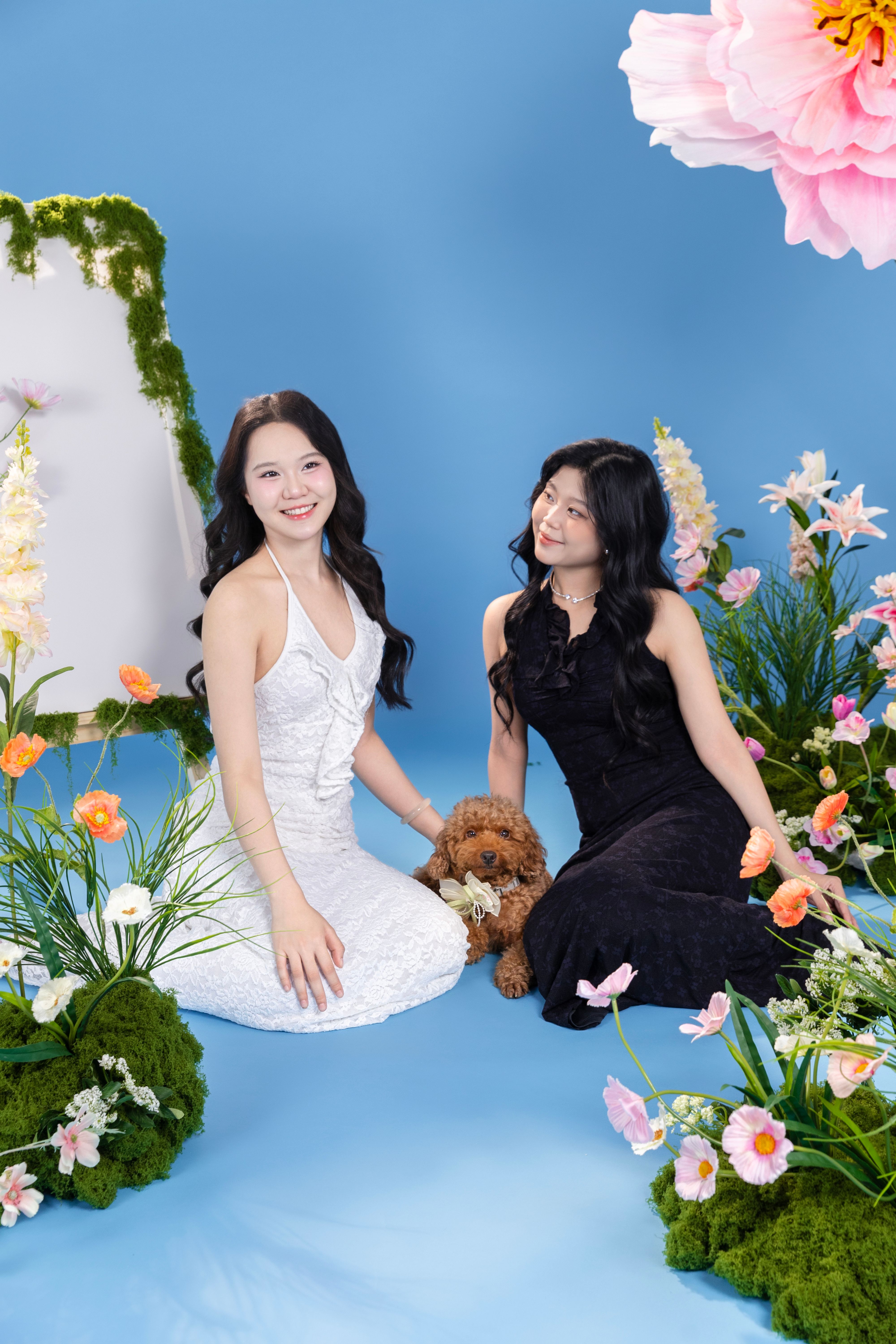 KHÁCH HÀNG DIỆU ANH - CÁT TƯỜNG & EM BÉ NÂU