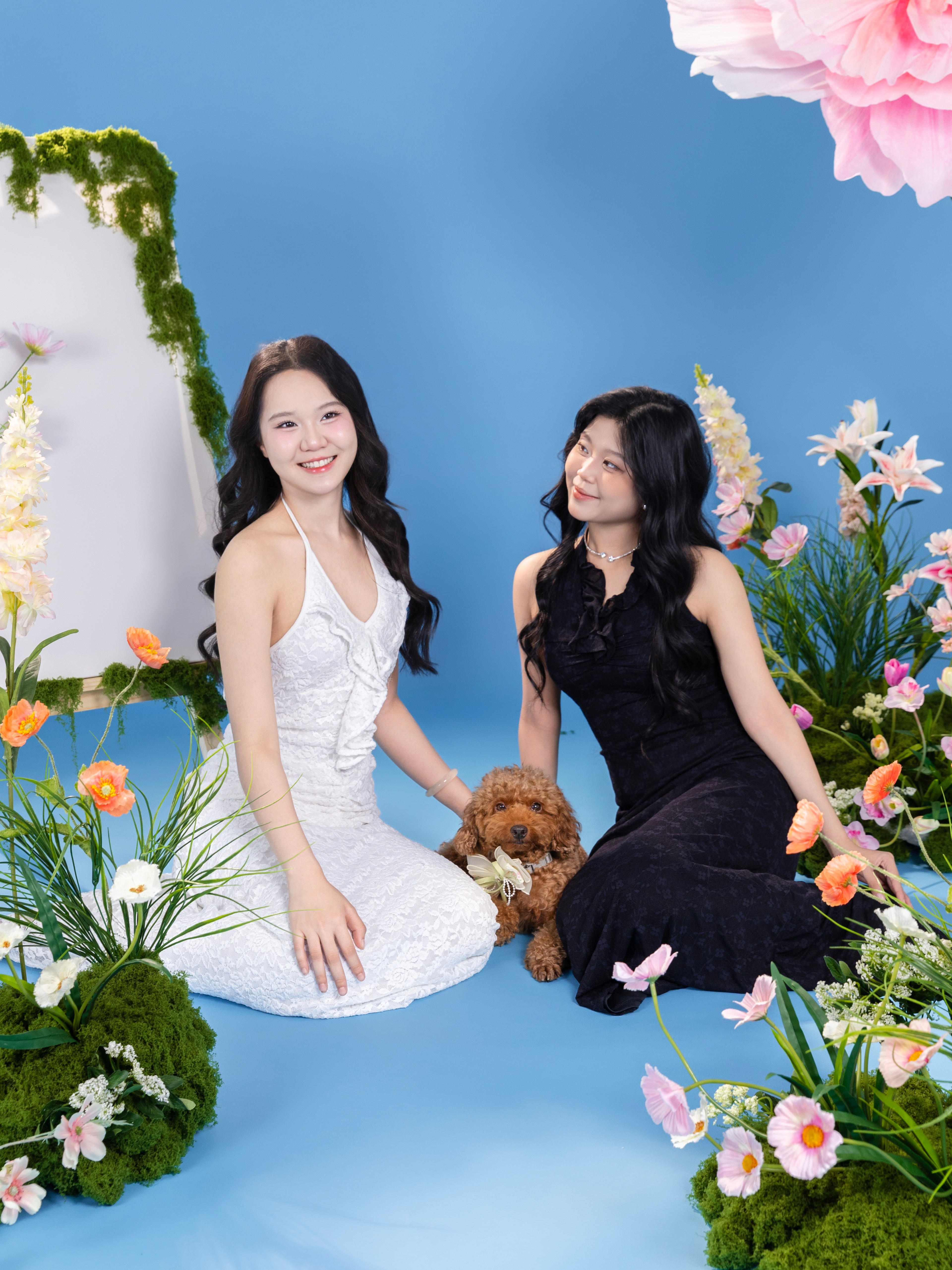 KHÁCH HÀNG DIỆU ANH - CÁT TƯỜNG & EM BÉ NÂU