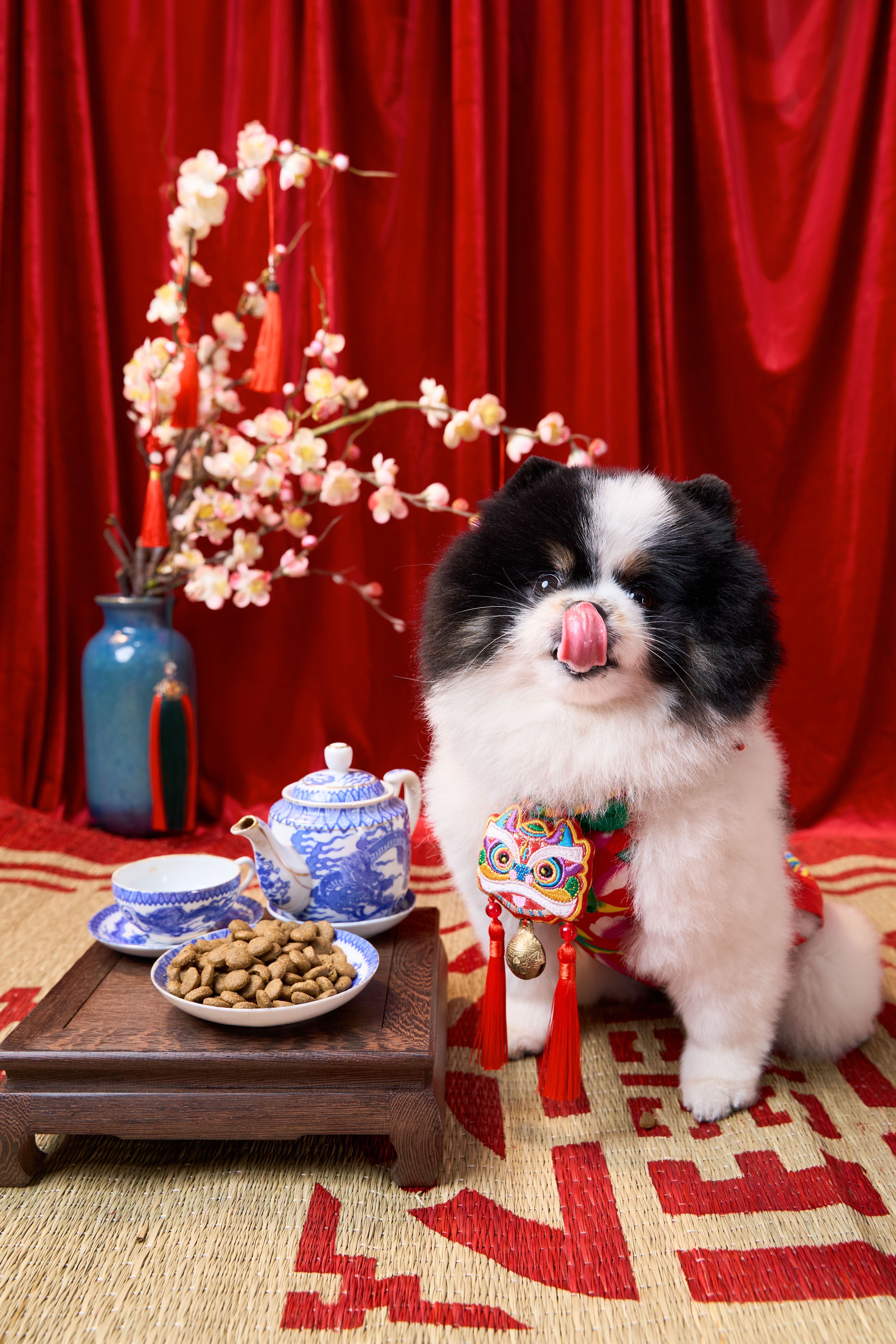 CONCEPT TRUYỀN THỐNG