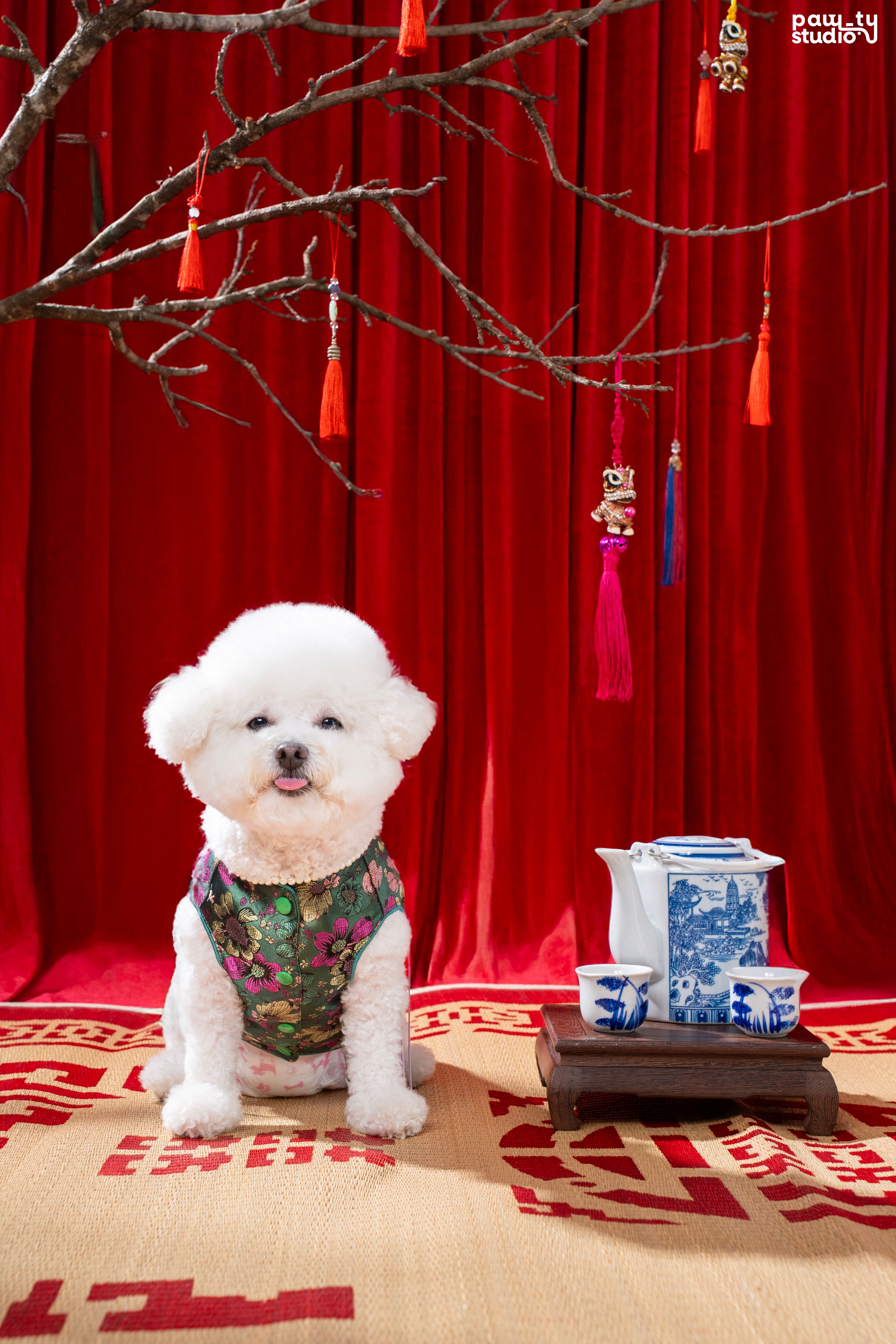 KHÁCH HÀNG GẠO - GẤU