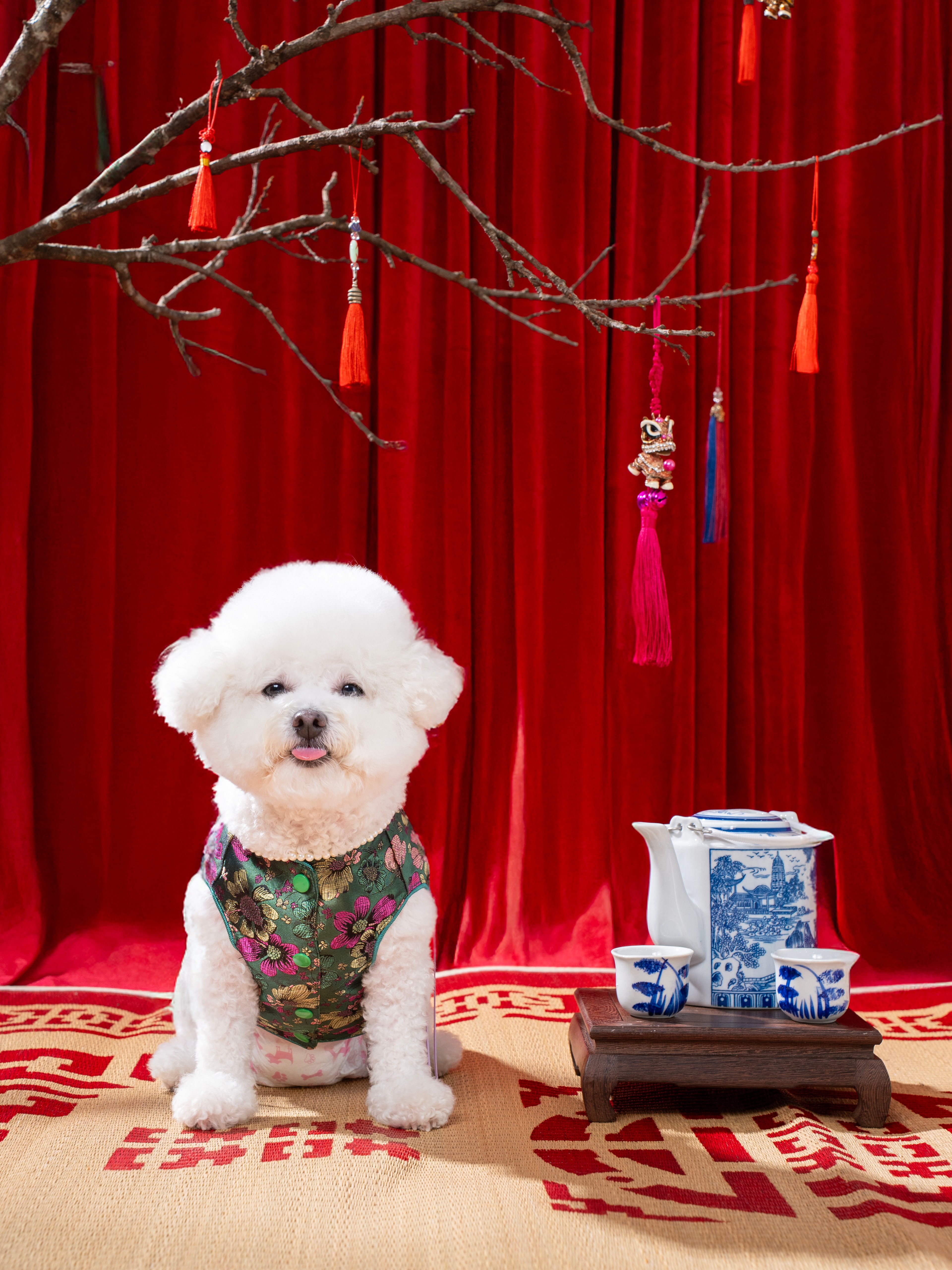 KHÁCH HÀNG GẠO - GẤU