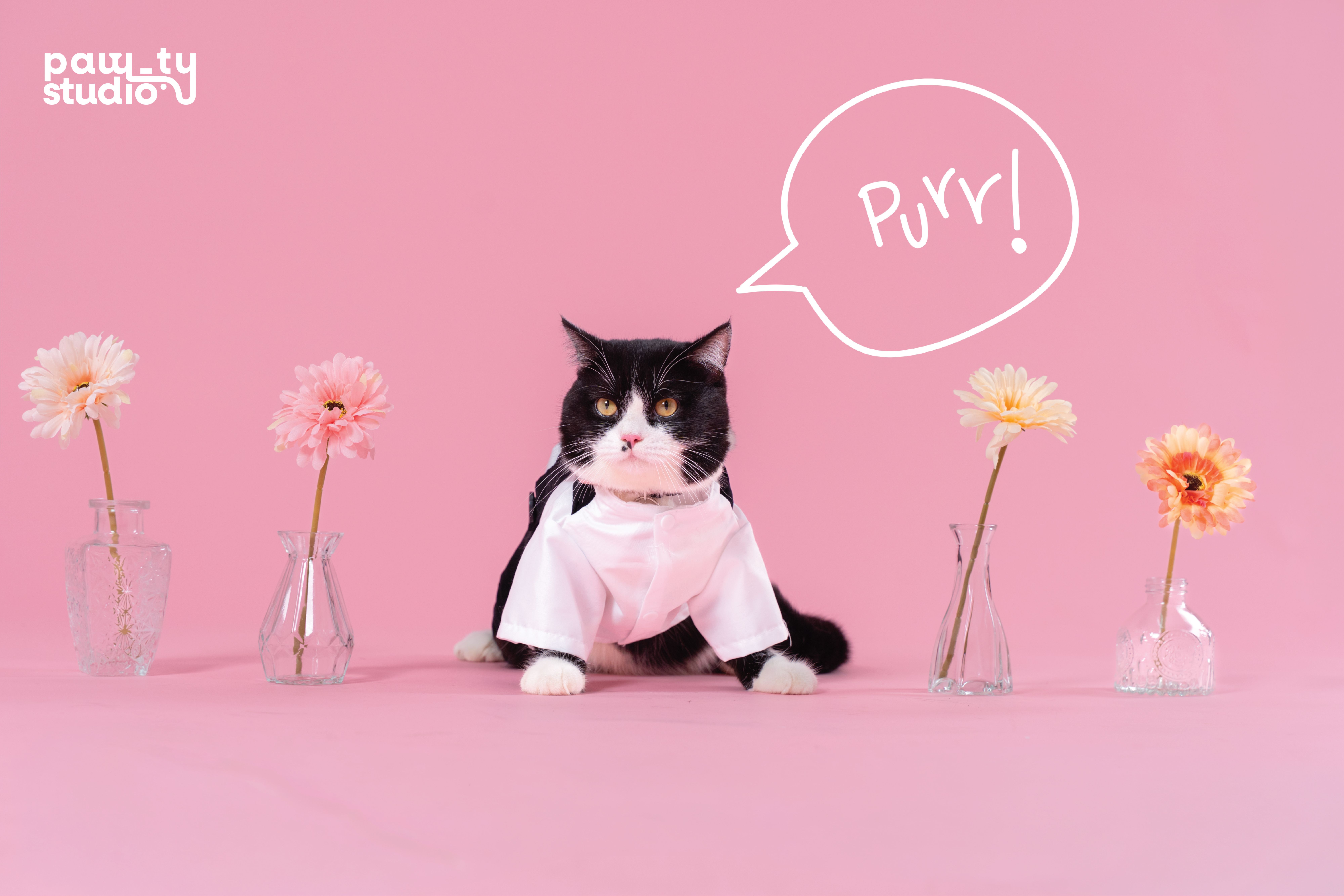 KHÁCH HÀNG MEOW