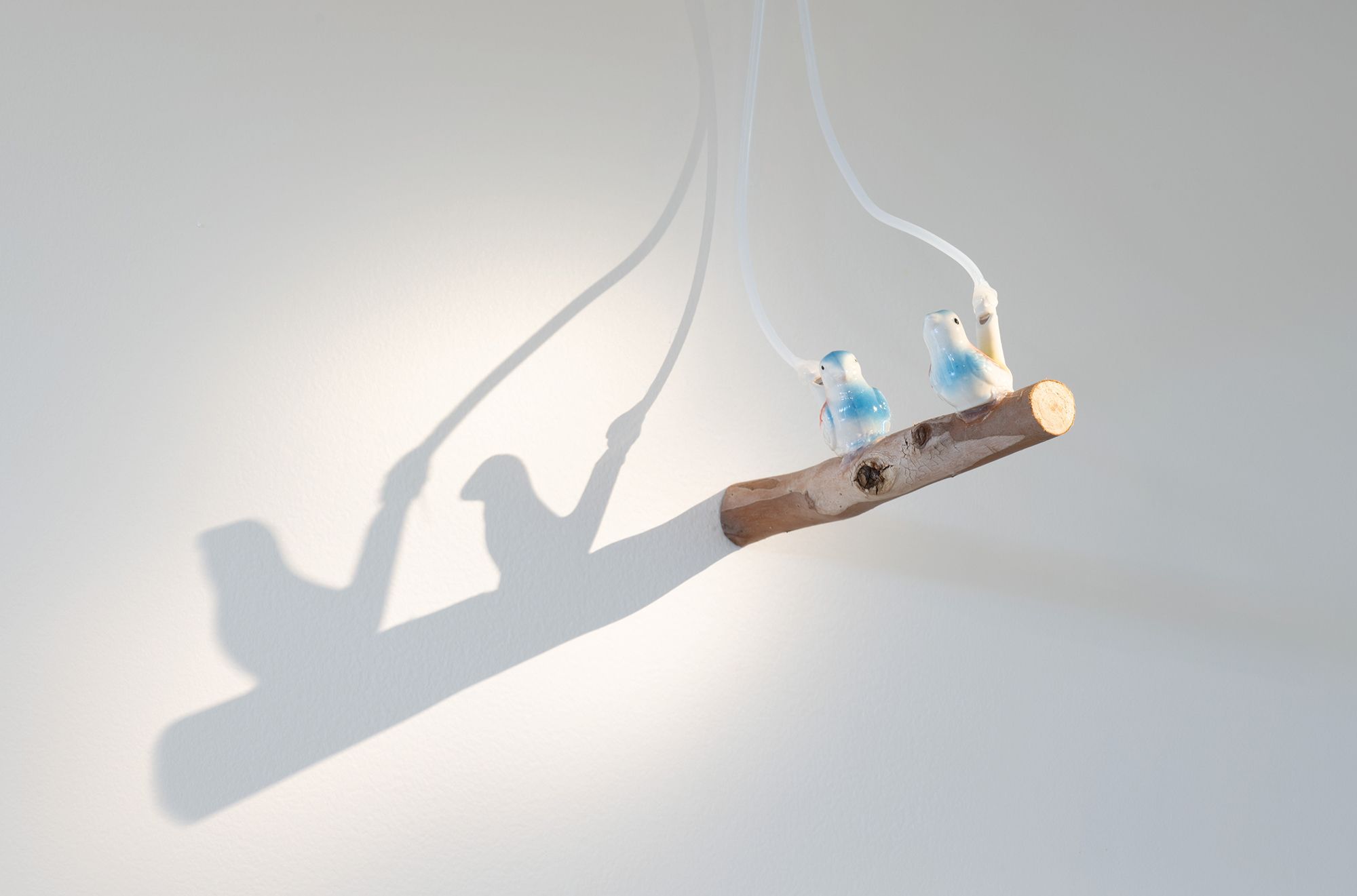 Birds tweet to one another in Bird Song – QAGOMA Stories