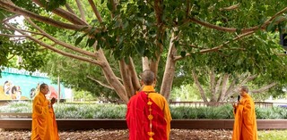 Bodhi Tree Blessing Ceremony / April 2023 / Gallery of Modern Art, Brisbane / Photography: C Callistemon, QAGOMA