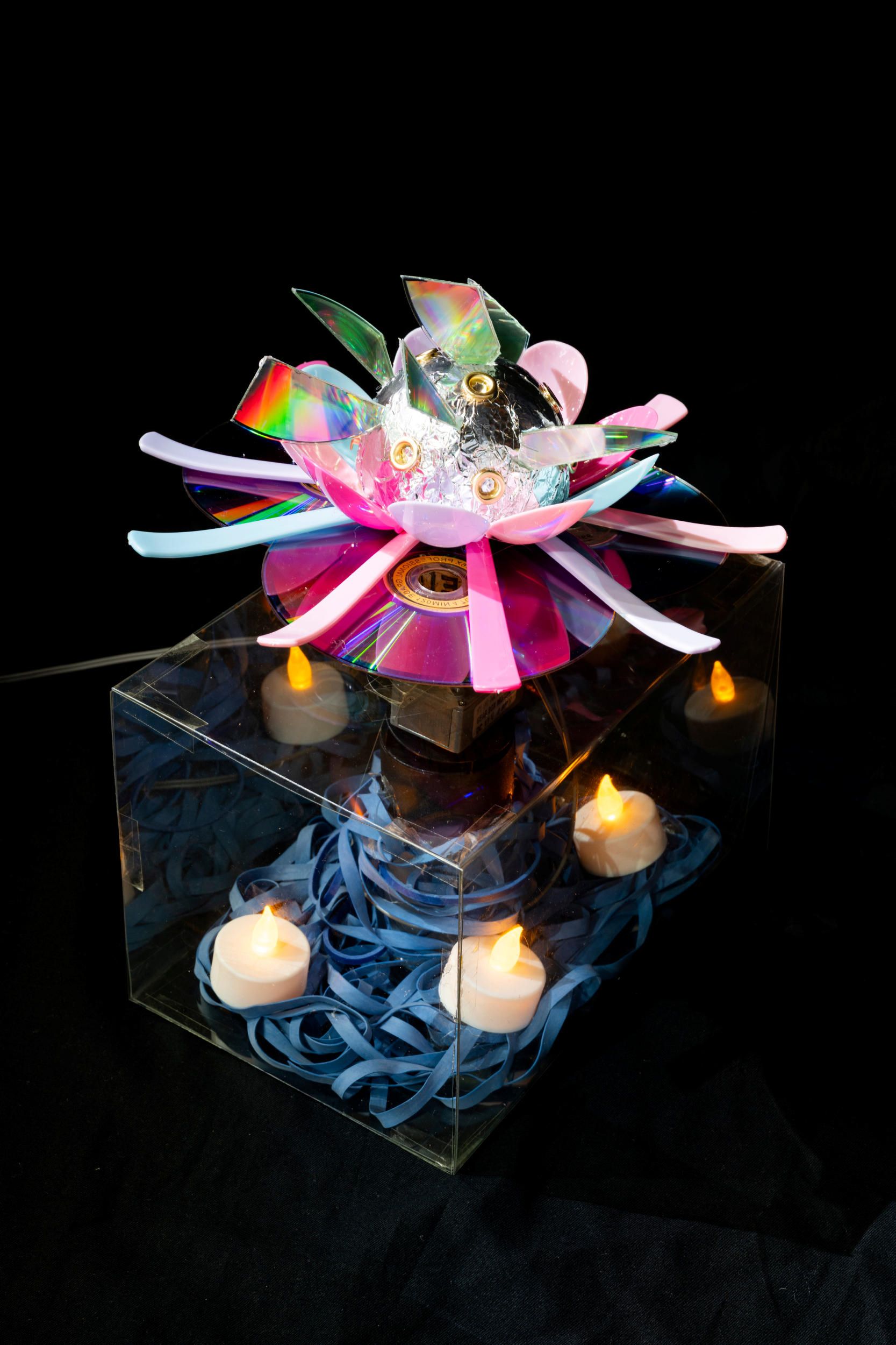 Vlada Nikitina | Dottie vision 2025