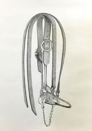 Matthew Harvey, Bray Park State High School / Unharnessed 2015 / Pen on paper / © The artist / Artist Statement: Everybody has an identity which not only defines who we are, but sculpts how we think and feel. This artwork reflects my background, having spent much of my childhood on rural properties. This drawing of a cow halter represents what has become a significant aspect of my identity as a young person living and working in a rural environment. After viewing the work of C J Hendry, I was inspired to create a large scale drawing. I have created tonal contrast using black fine point pens and a stippling technique.