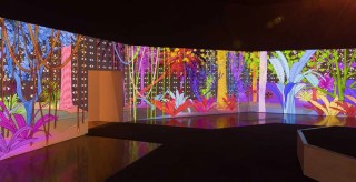 Nicolas Molé, France/New Caledonia b.1975 / IIs vous regardent (They look at you) 2015, reconfigured 2017 / Mixed media installation / Purchased 2017 with funds from the bequest of Jennifer Taylor through the Queensland Art Gallery | Gallery of Modern Art Foundation / Collection: Queensland Art Gallery | Gallery of Modern Art / © Nicolas Molé